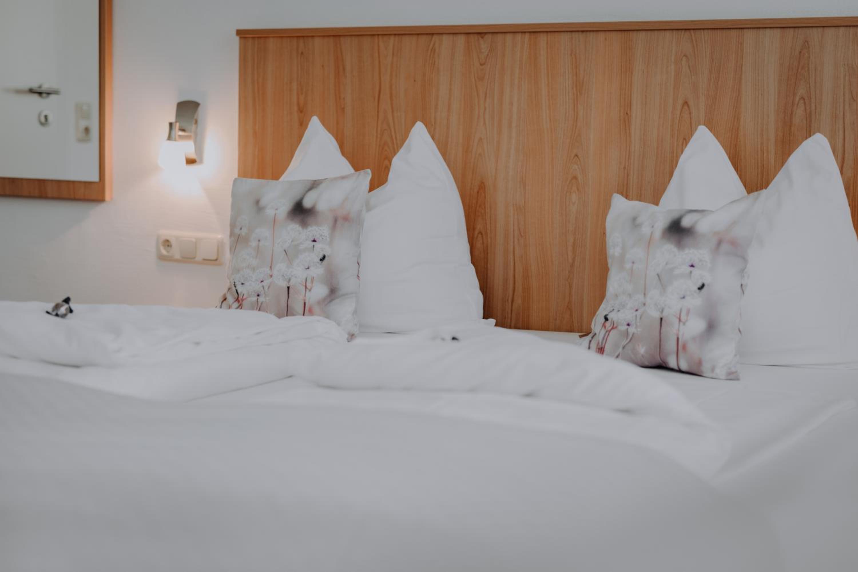 Standard Double or Twin Room with Balcony photo 3