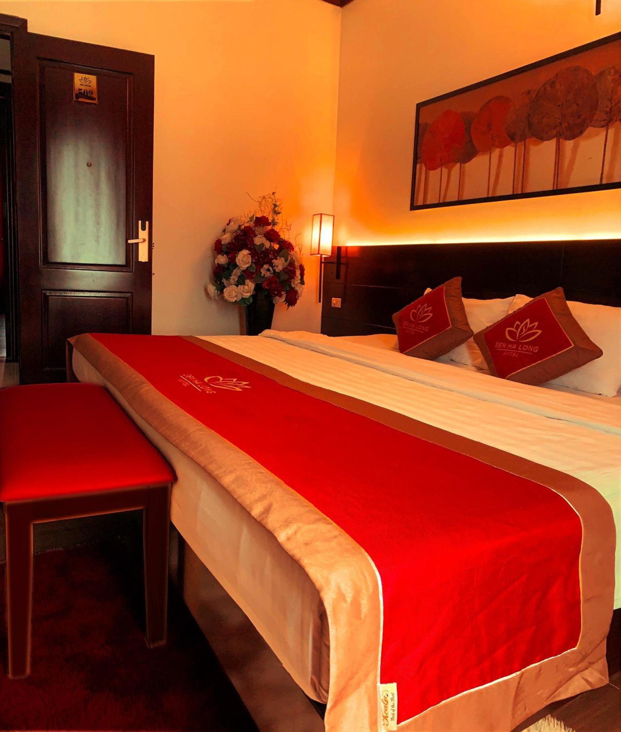 Superior Double Room - Photo 1