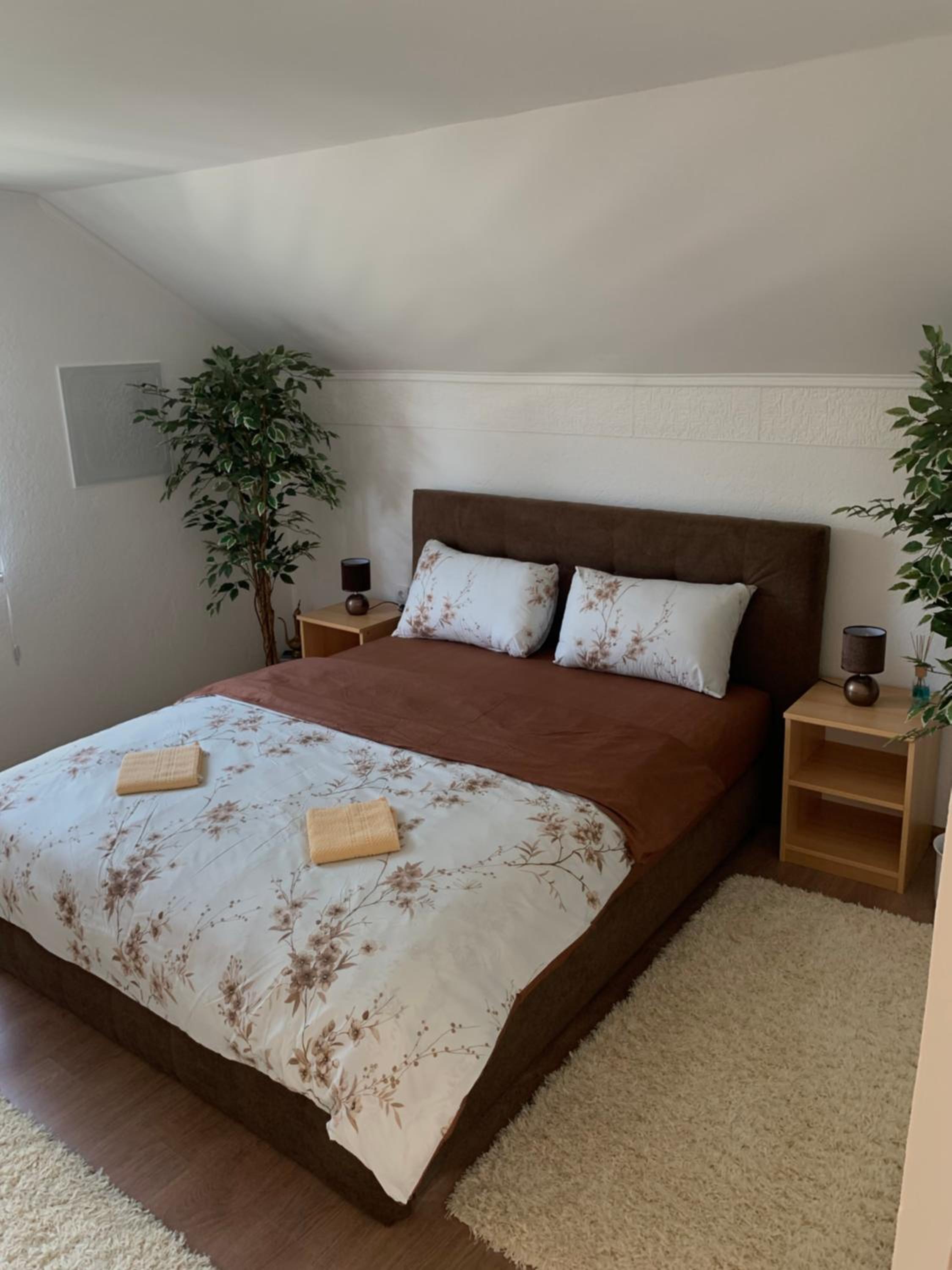 One-Bedroom House photo 1