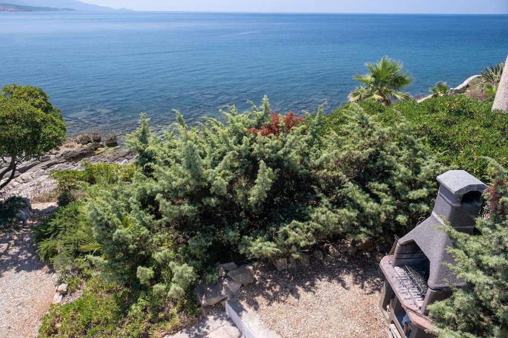 Villa with Sea View photo 2