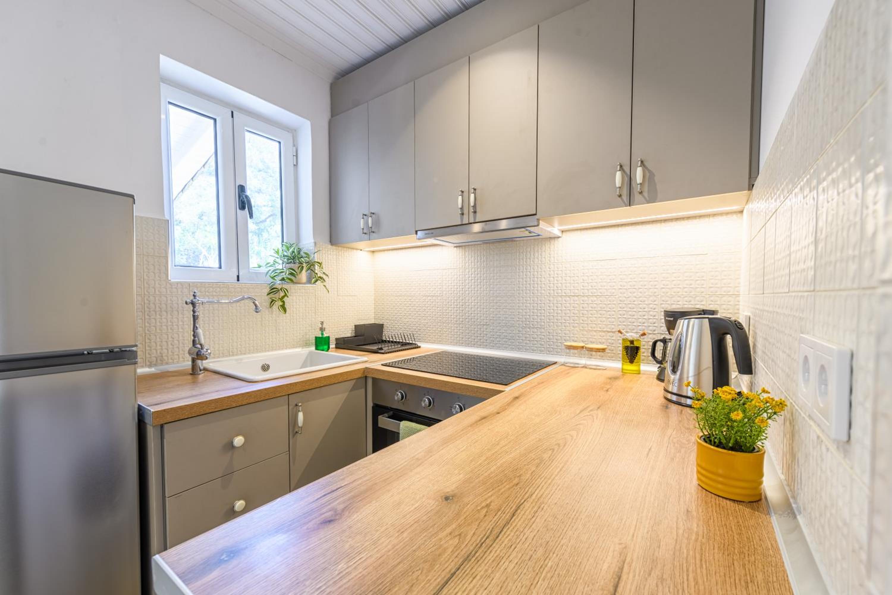 Apartment with Terrace photo 2