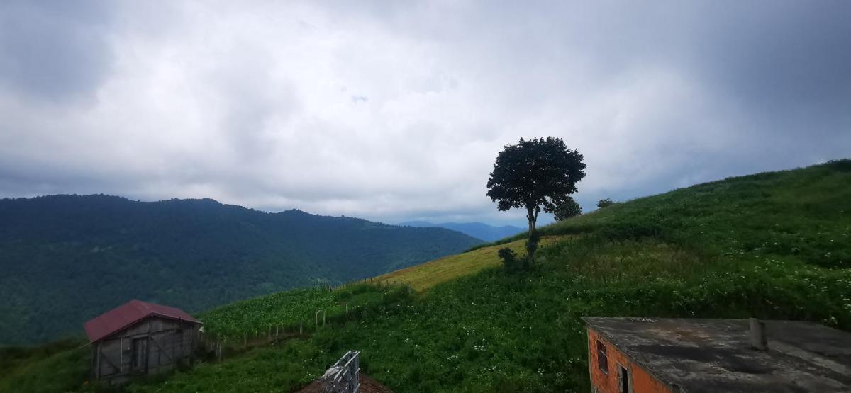 Studio with Mountain View photo 3