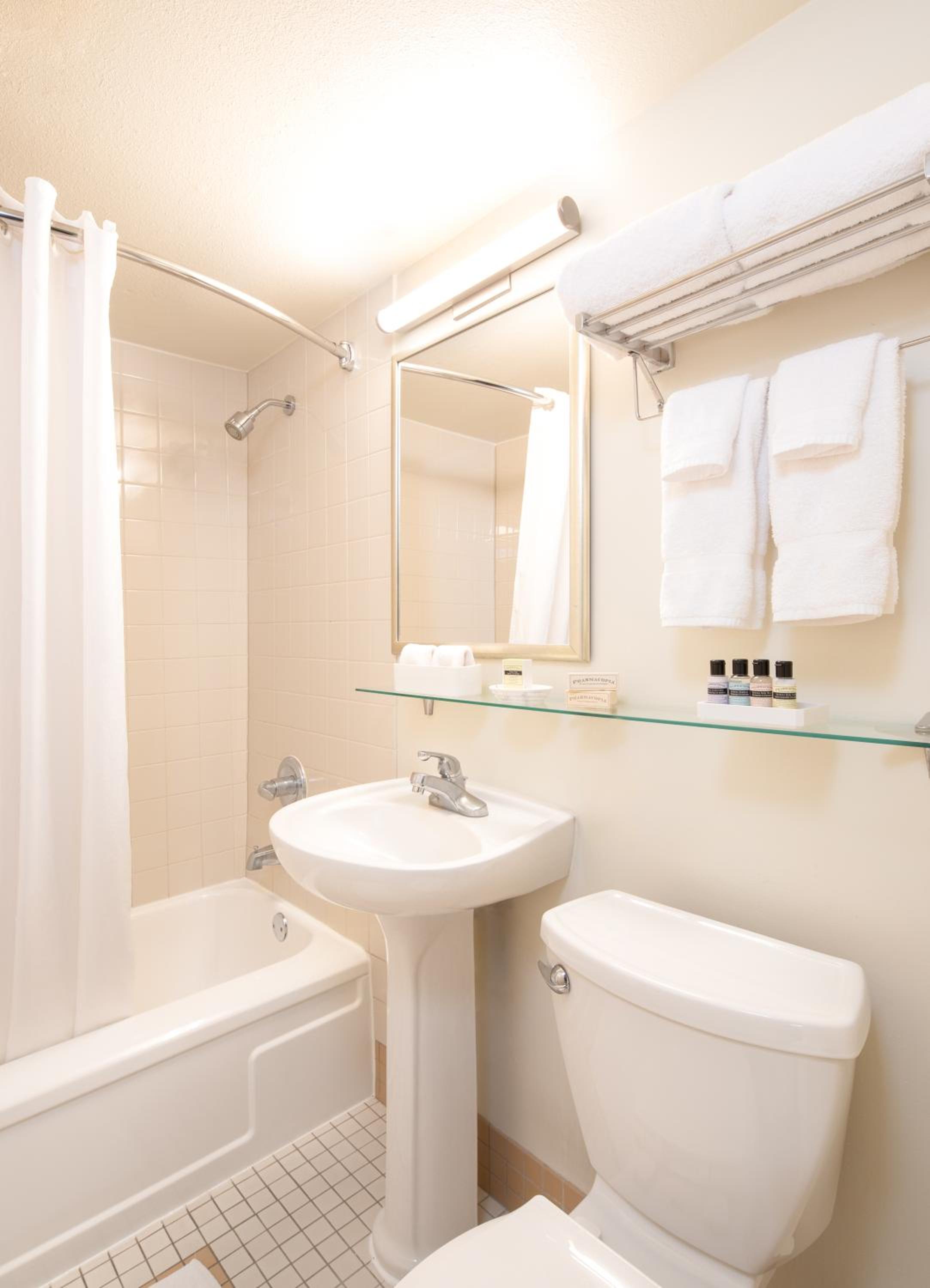 One Bedroom Suite  - Photo 2