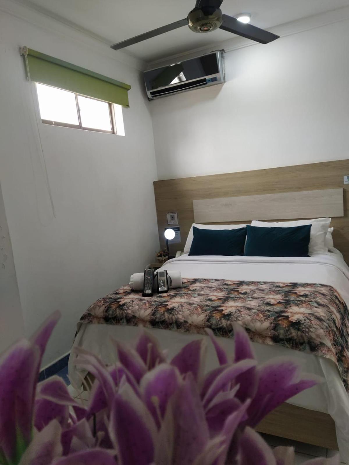 Standard Double Room photo 3