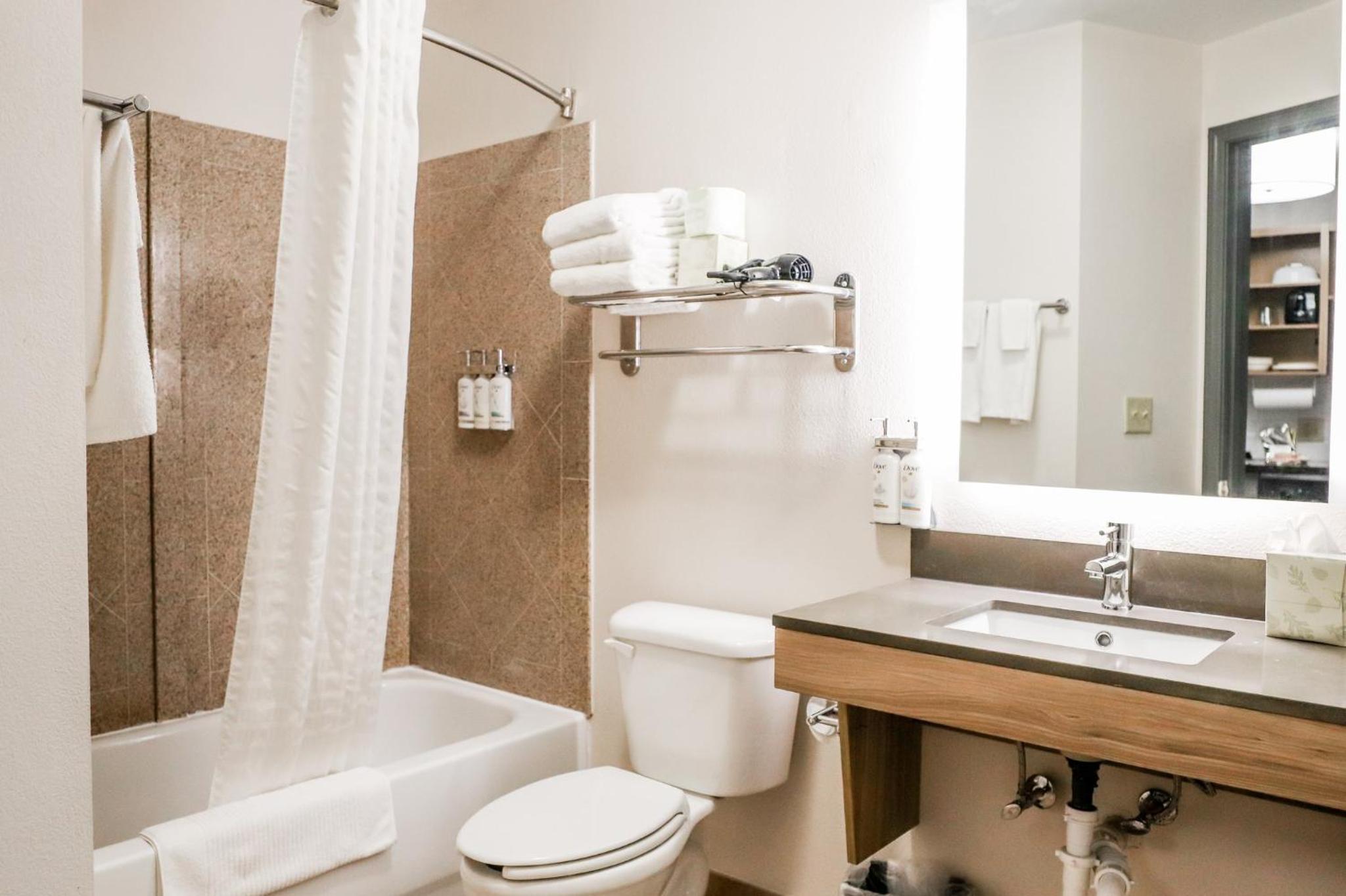 Studio Suite with Two Double Beds - Photo 6
