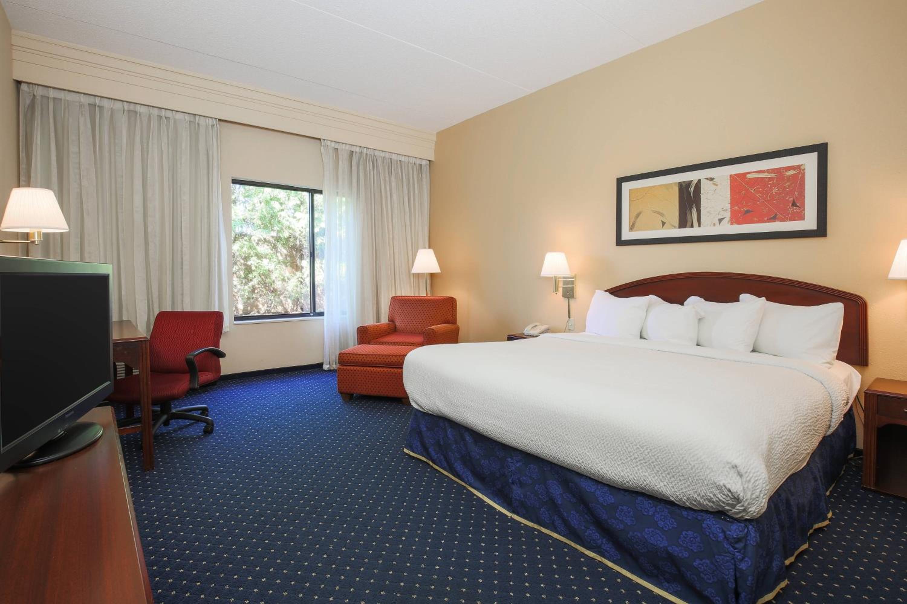 King Room - Photo 4