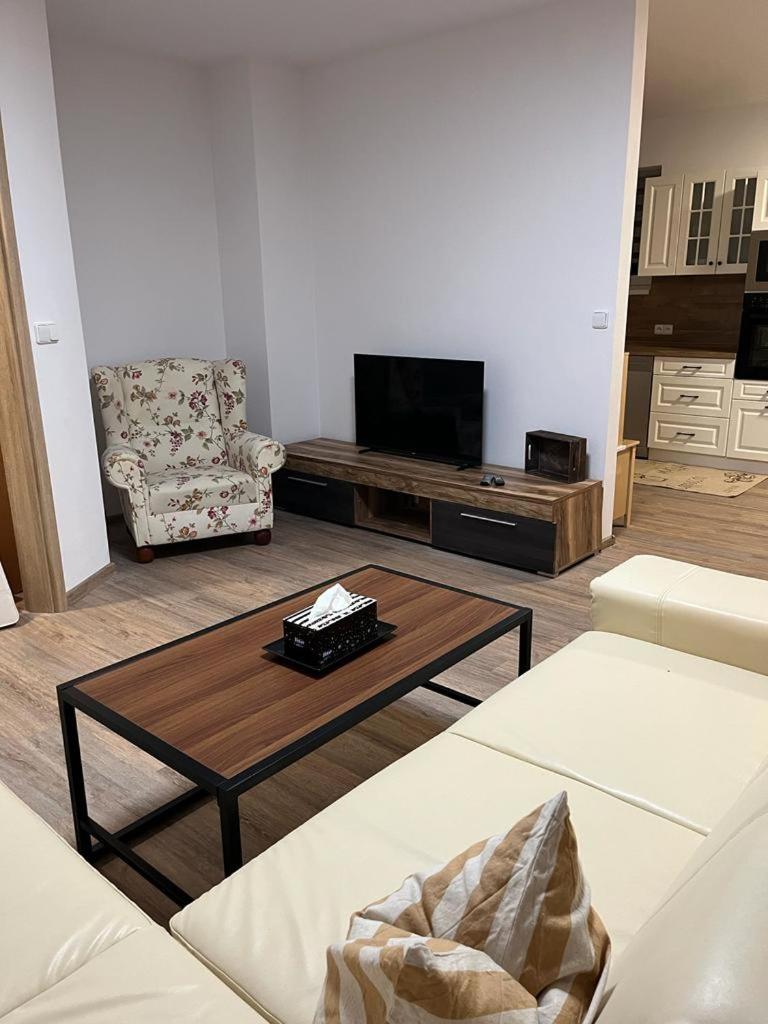 Apartment With Terrace photo 2