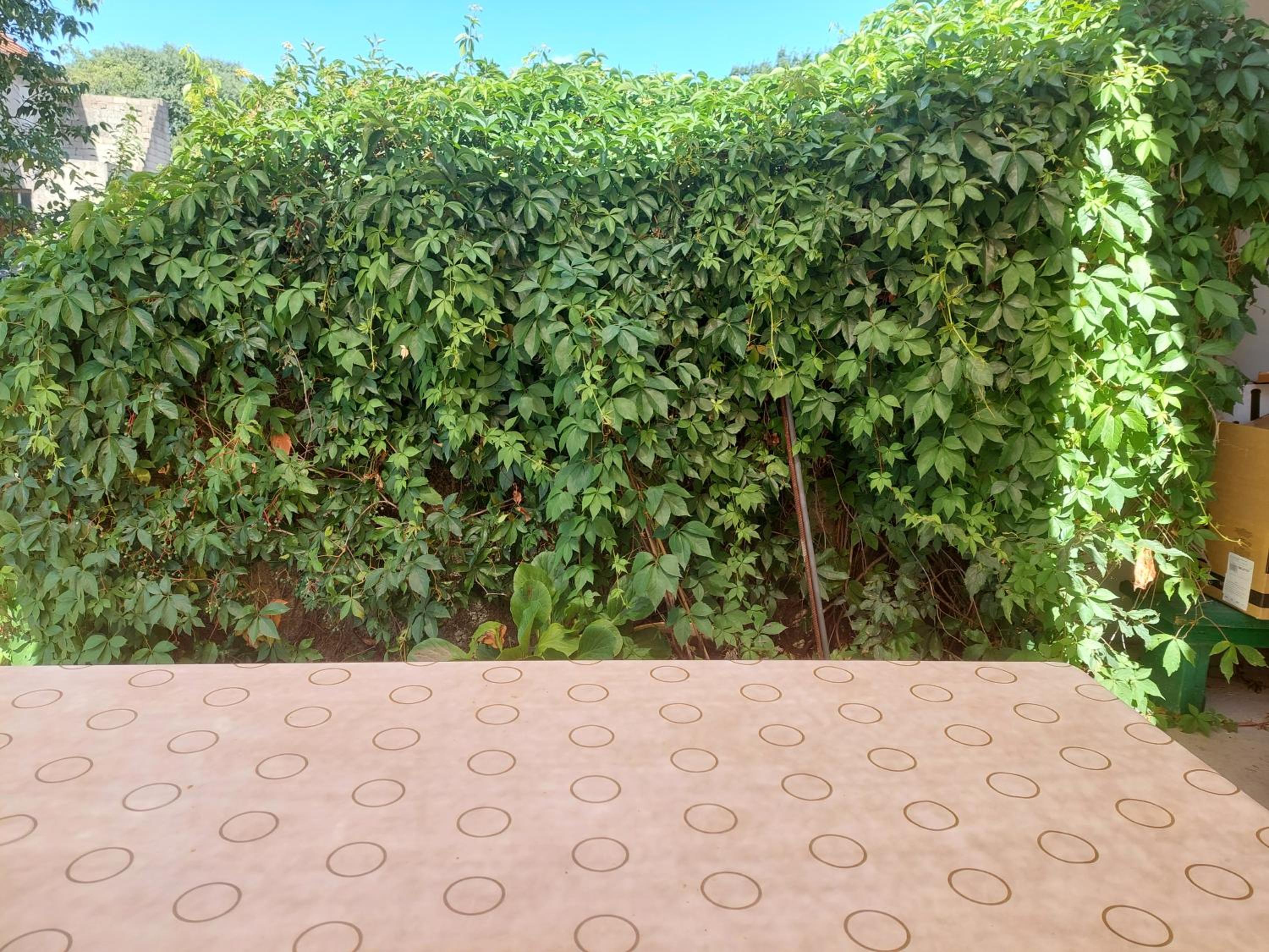Studio with Terrace - Photo 13