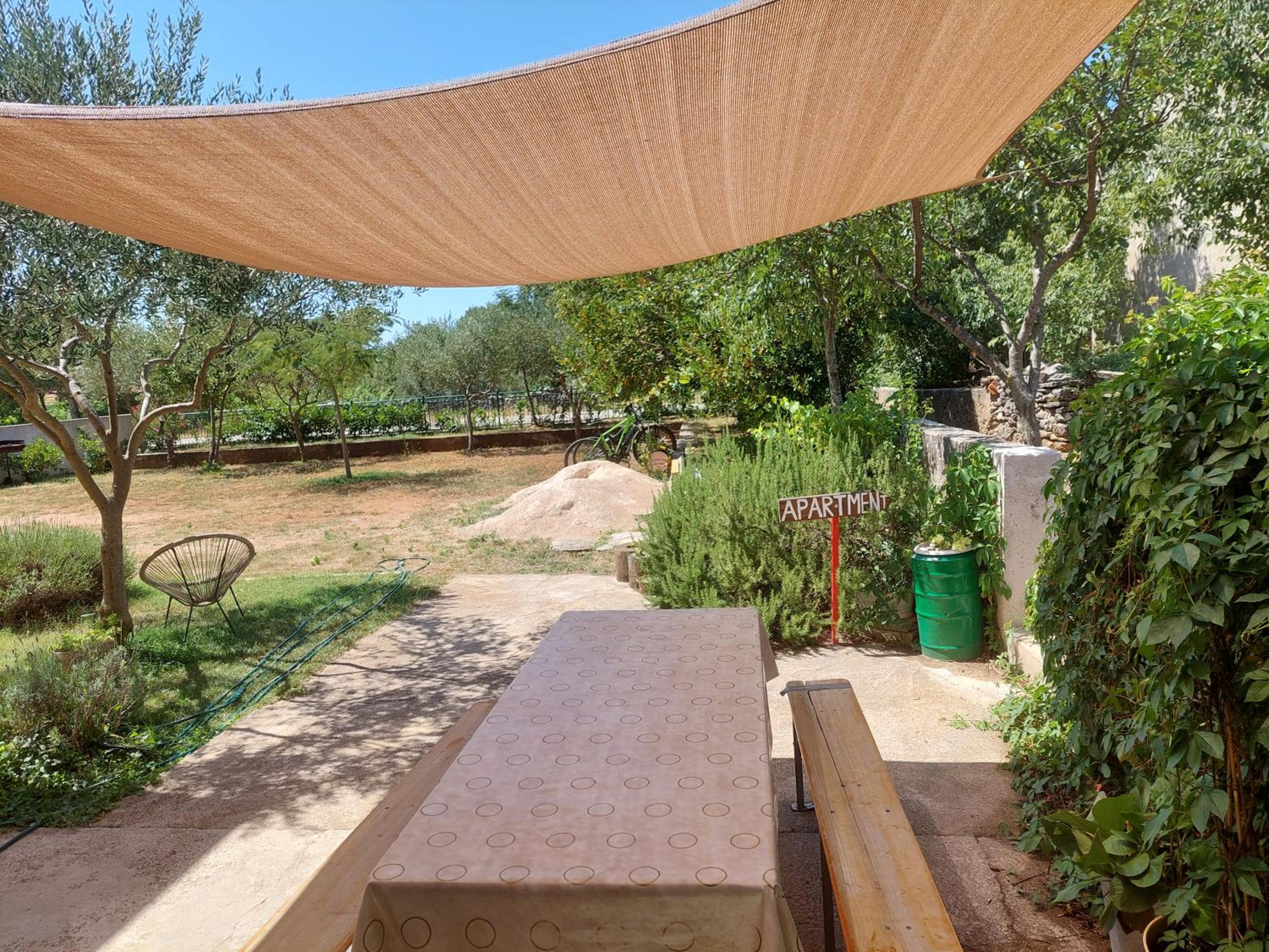 Studio with Terrace - Photo 9