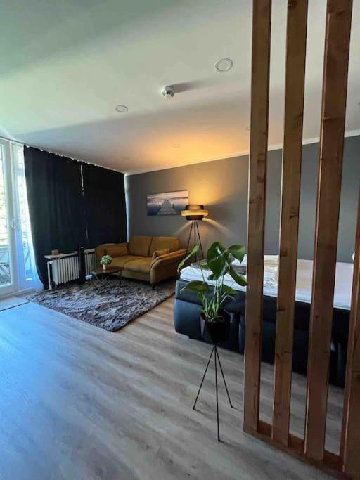 One-Bedroom Apartment photo 2