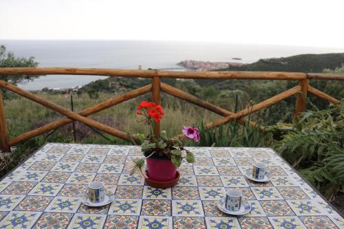 Apartment with Sea View photo 2