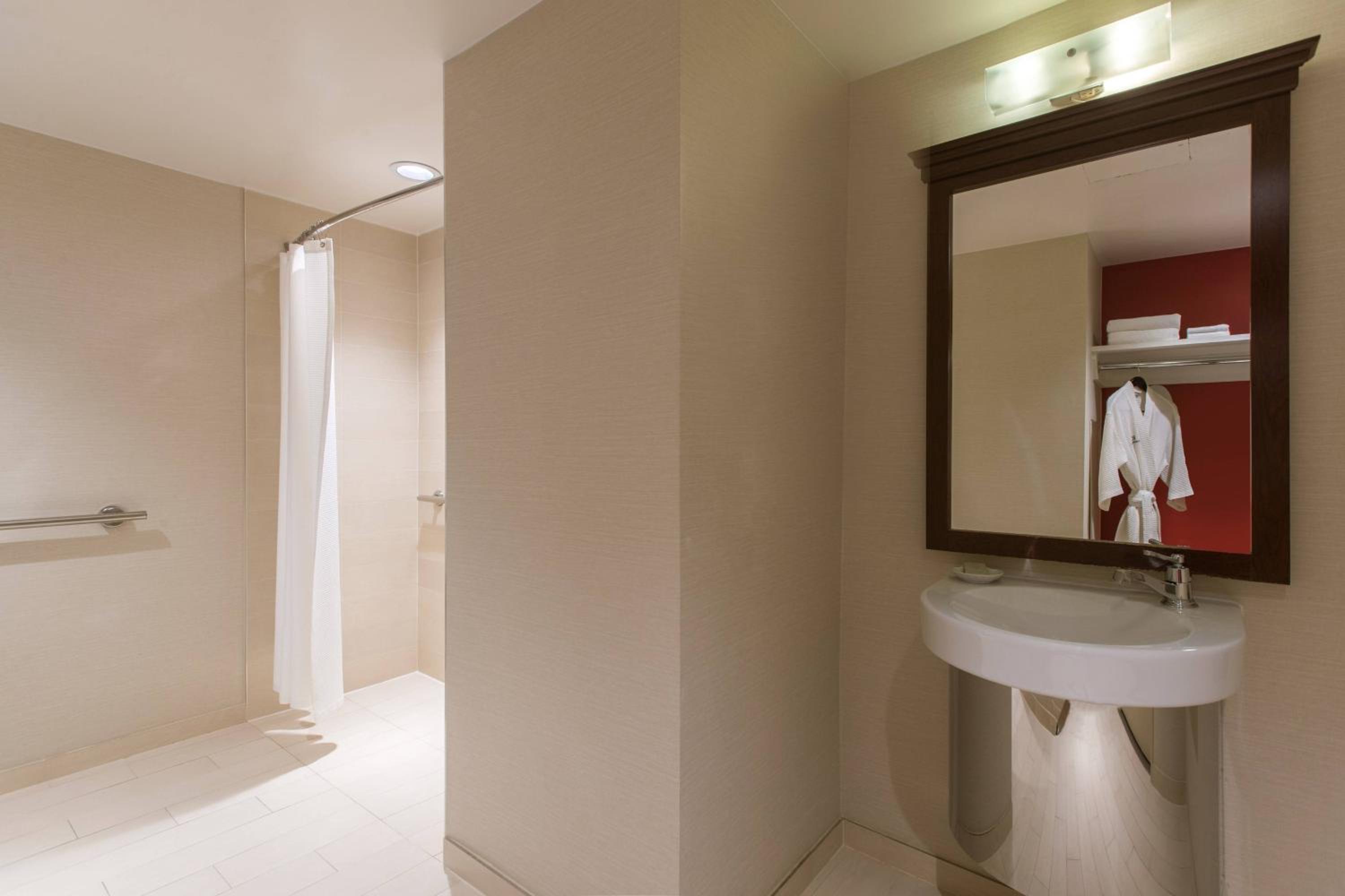 Deluxe King or Double Room photo 3