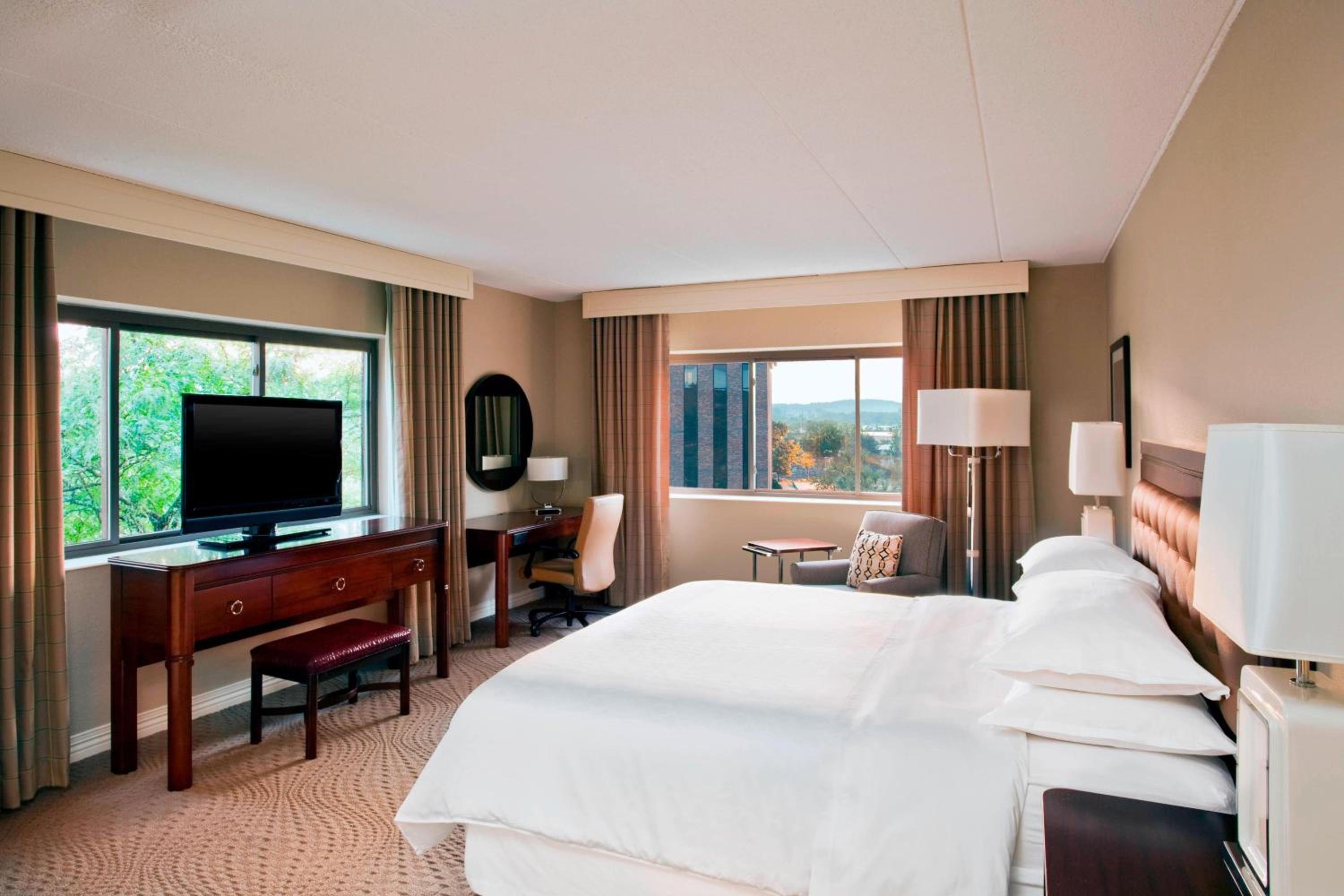 Traditional, Guest room, 1 King - Photo 1