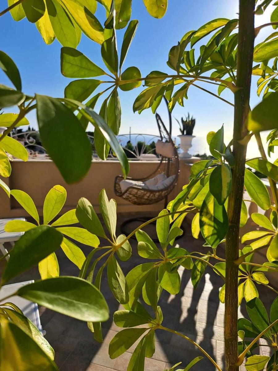 Superior Double or Twin Room with Sea View