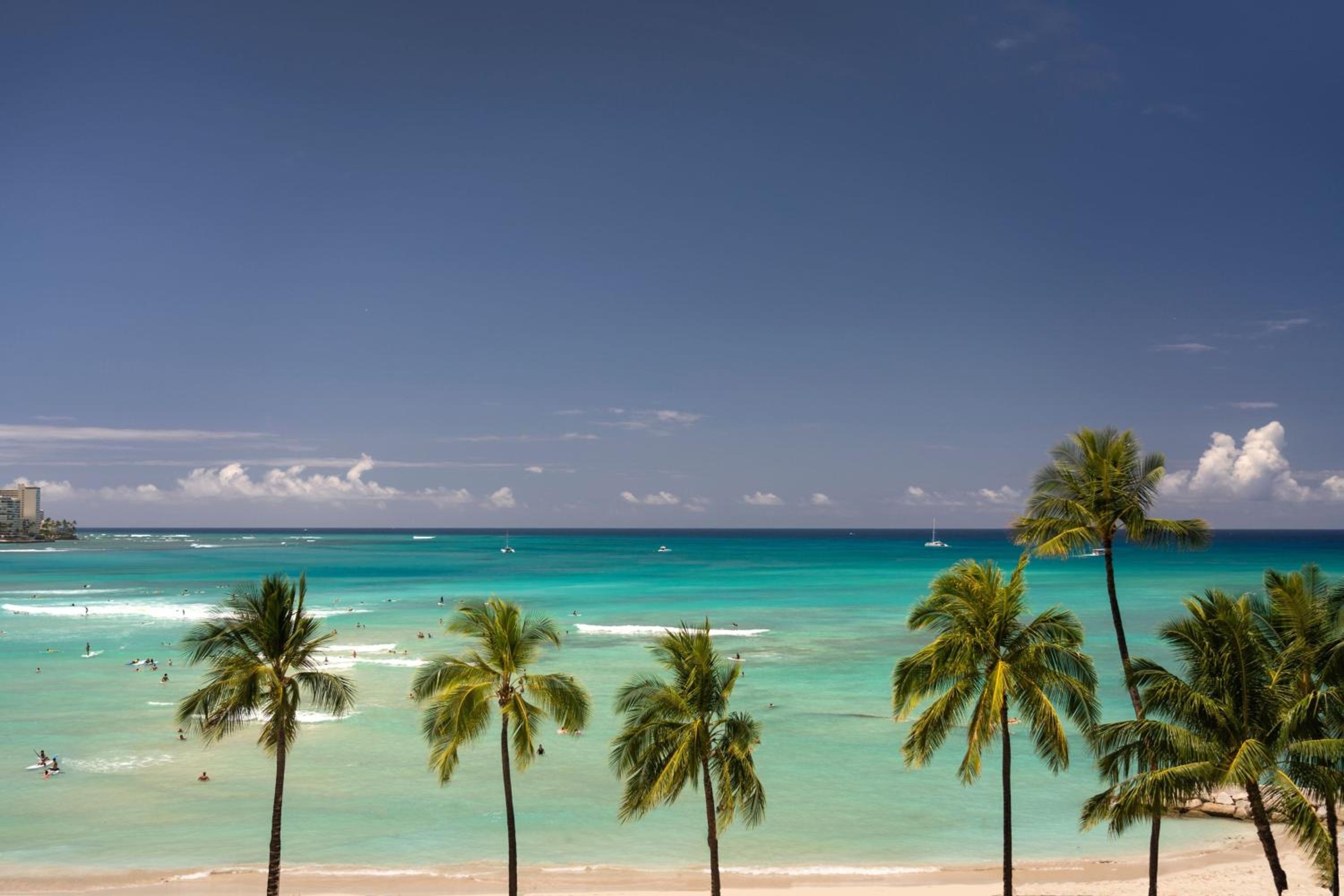 Historic Ocean Suite, Suite, King, Ocean view, Historic Wing