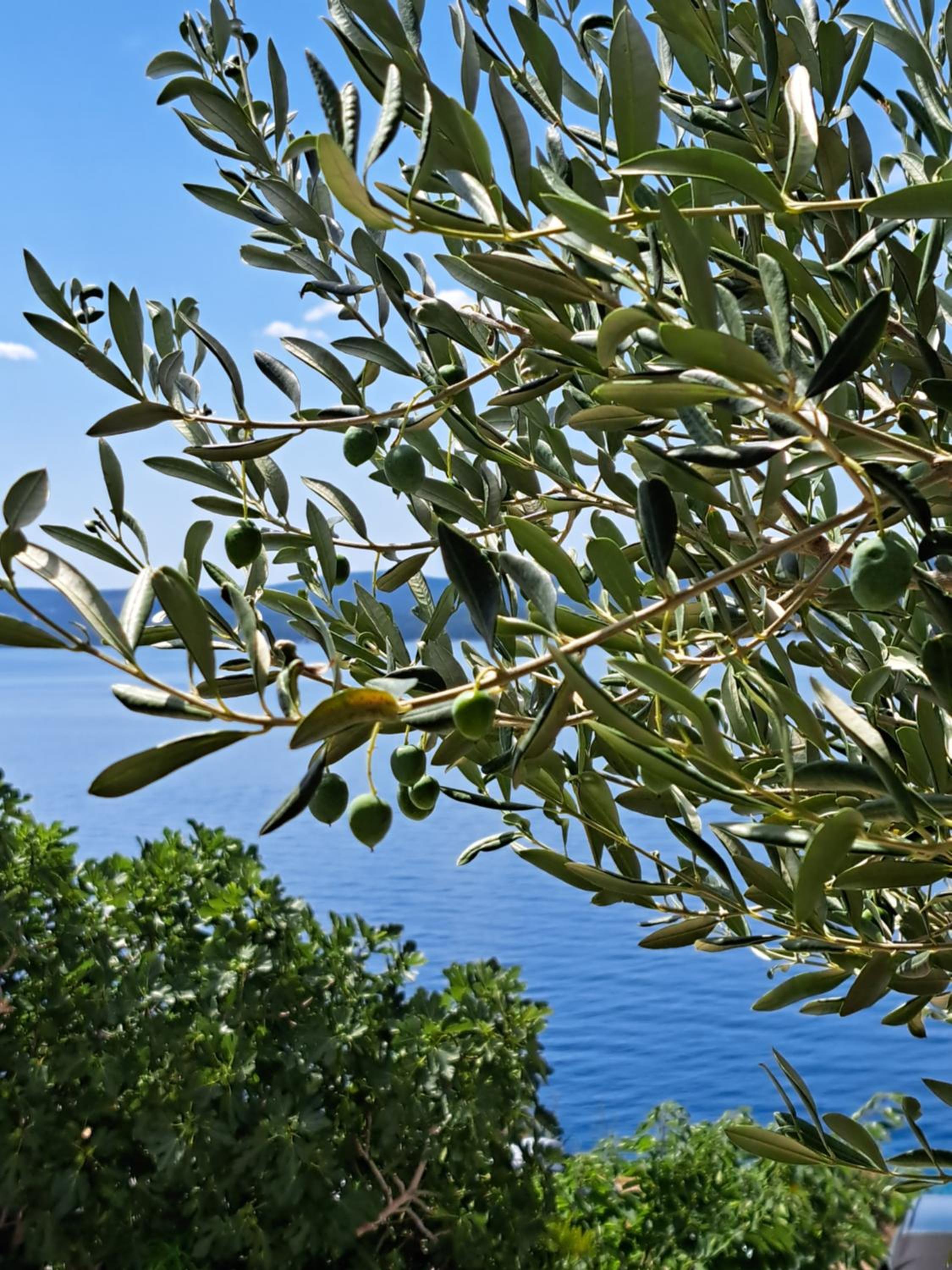 Apartment with Sea View - Photo 9