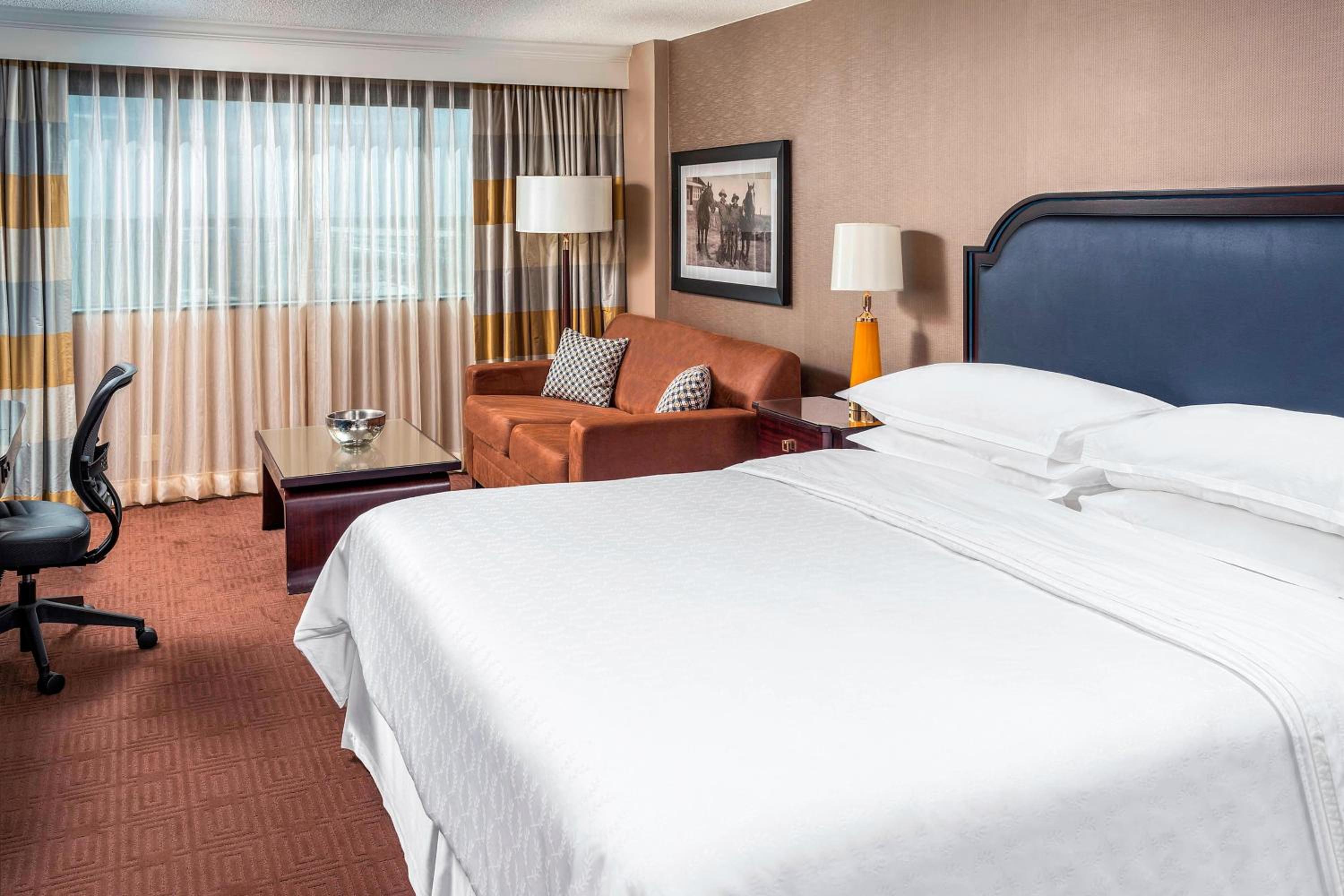 King Room - Photo 5