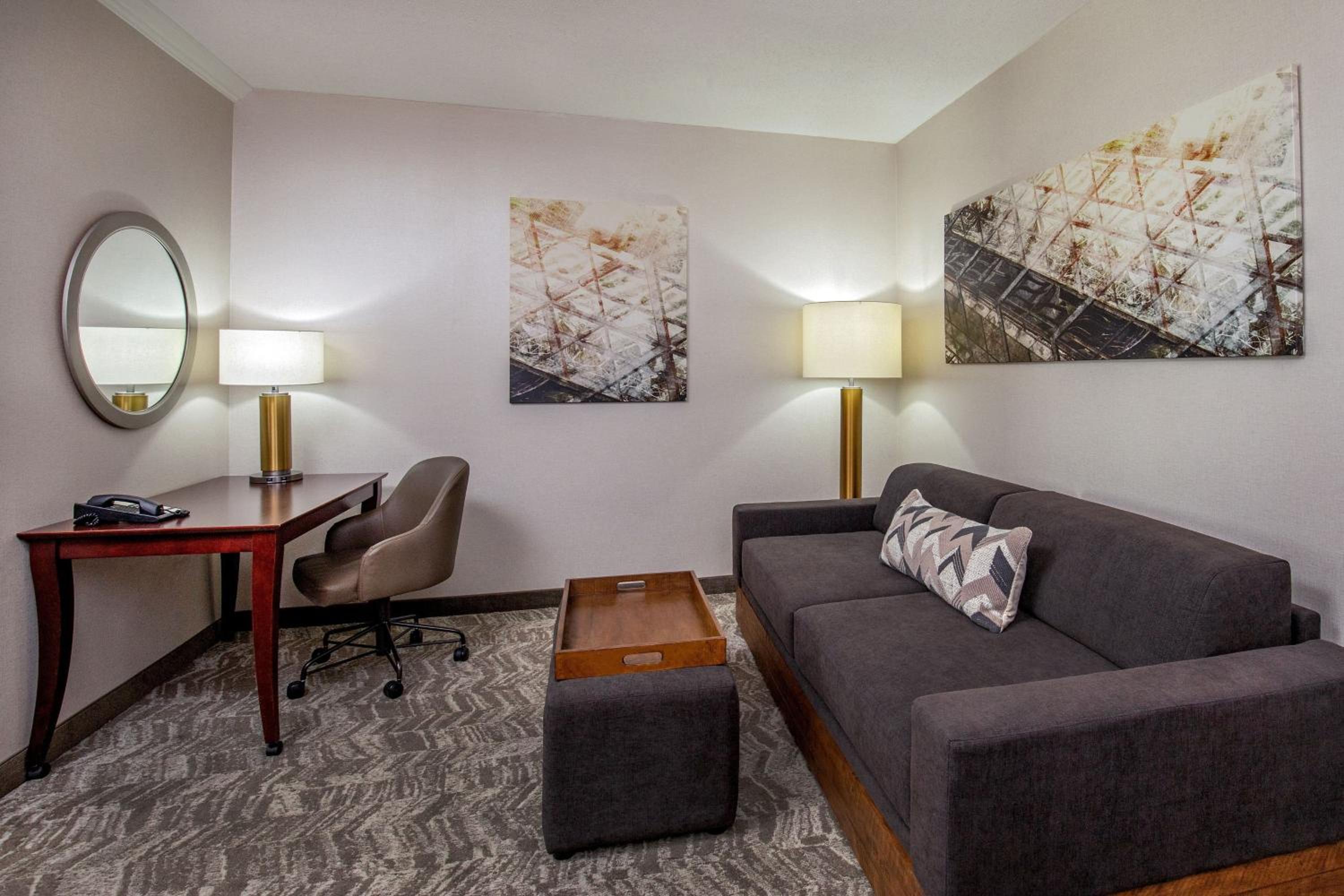 King Studio Suite with Sofa Bed and Adapted Tub - Mobility and Hearing Accessible - Photo 9