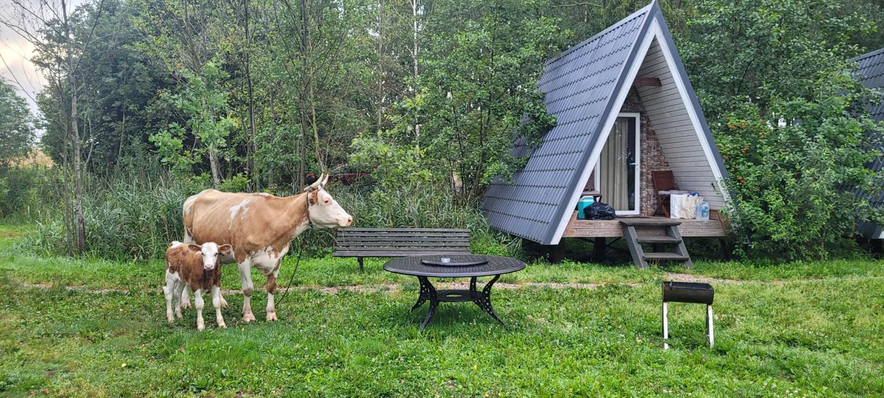 Vacation Home - Photo 54