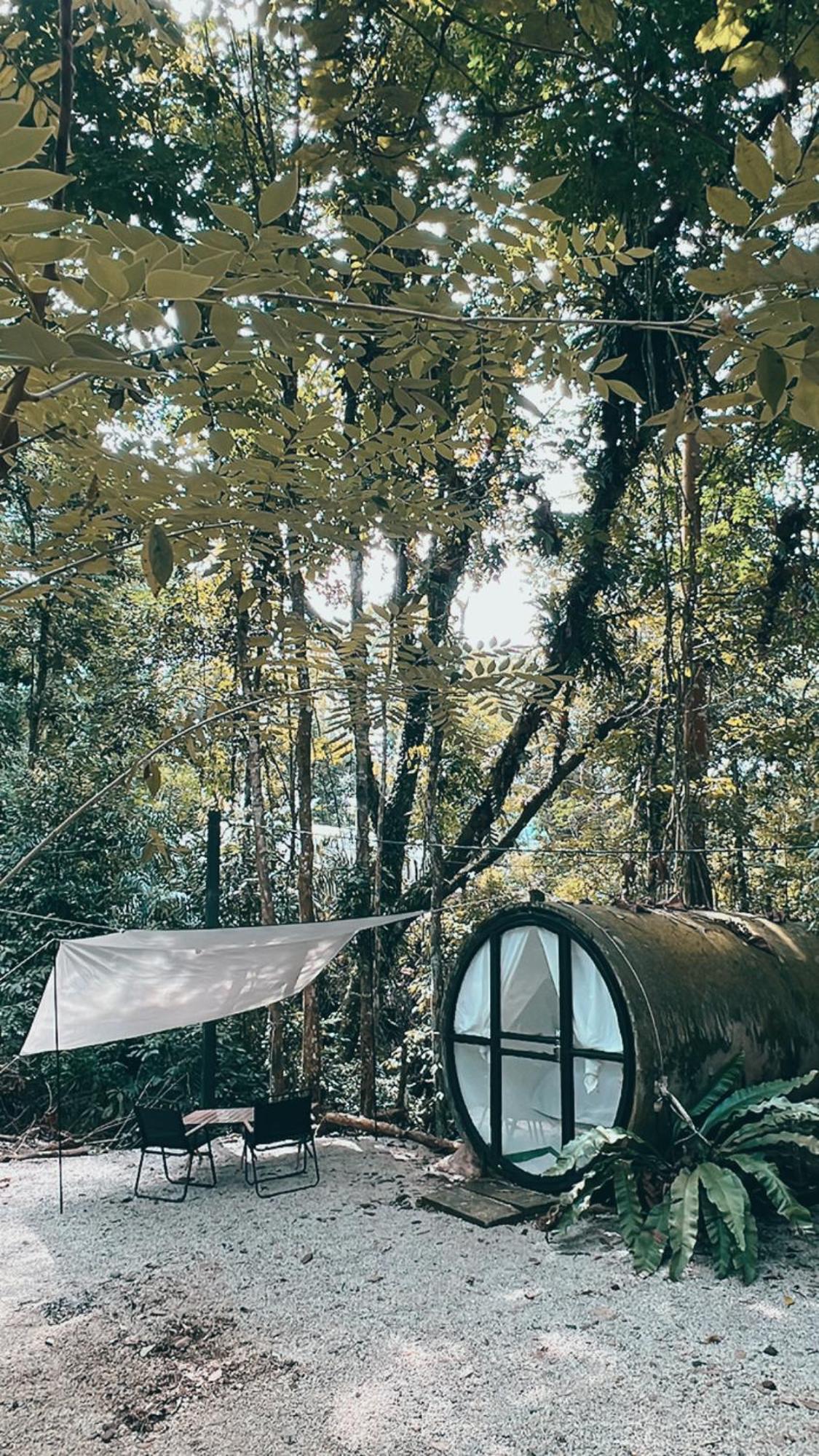 Capsule with Jungle View - Photo 8