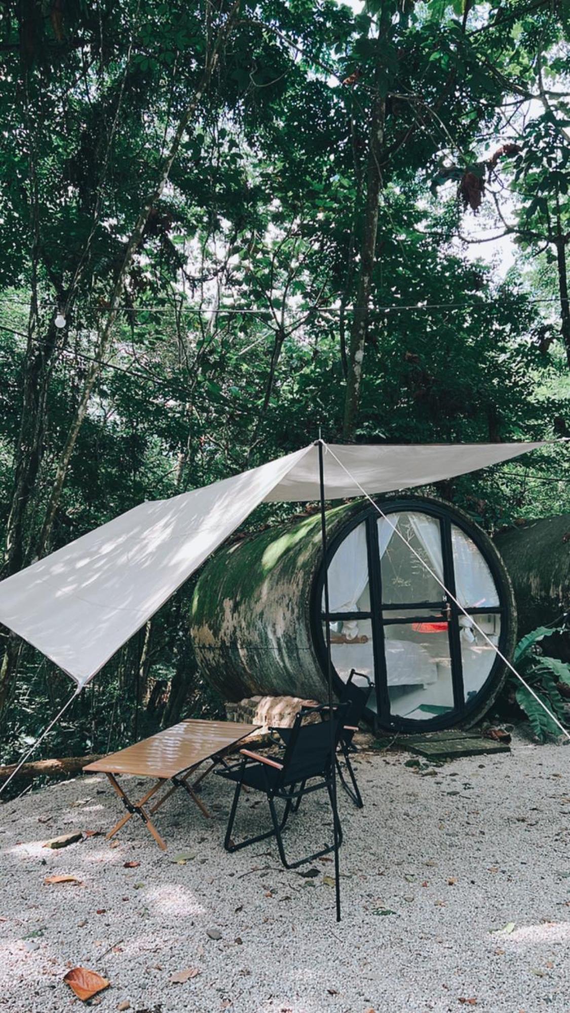 Capsule with Jungle View - Photo 7