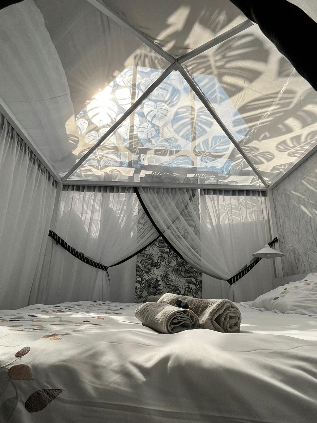 Junior Suite photo 1