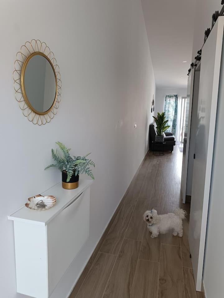 One-Bedroom Apartment photo 3