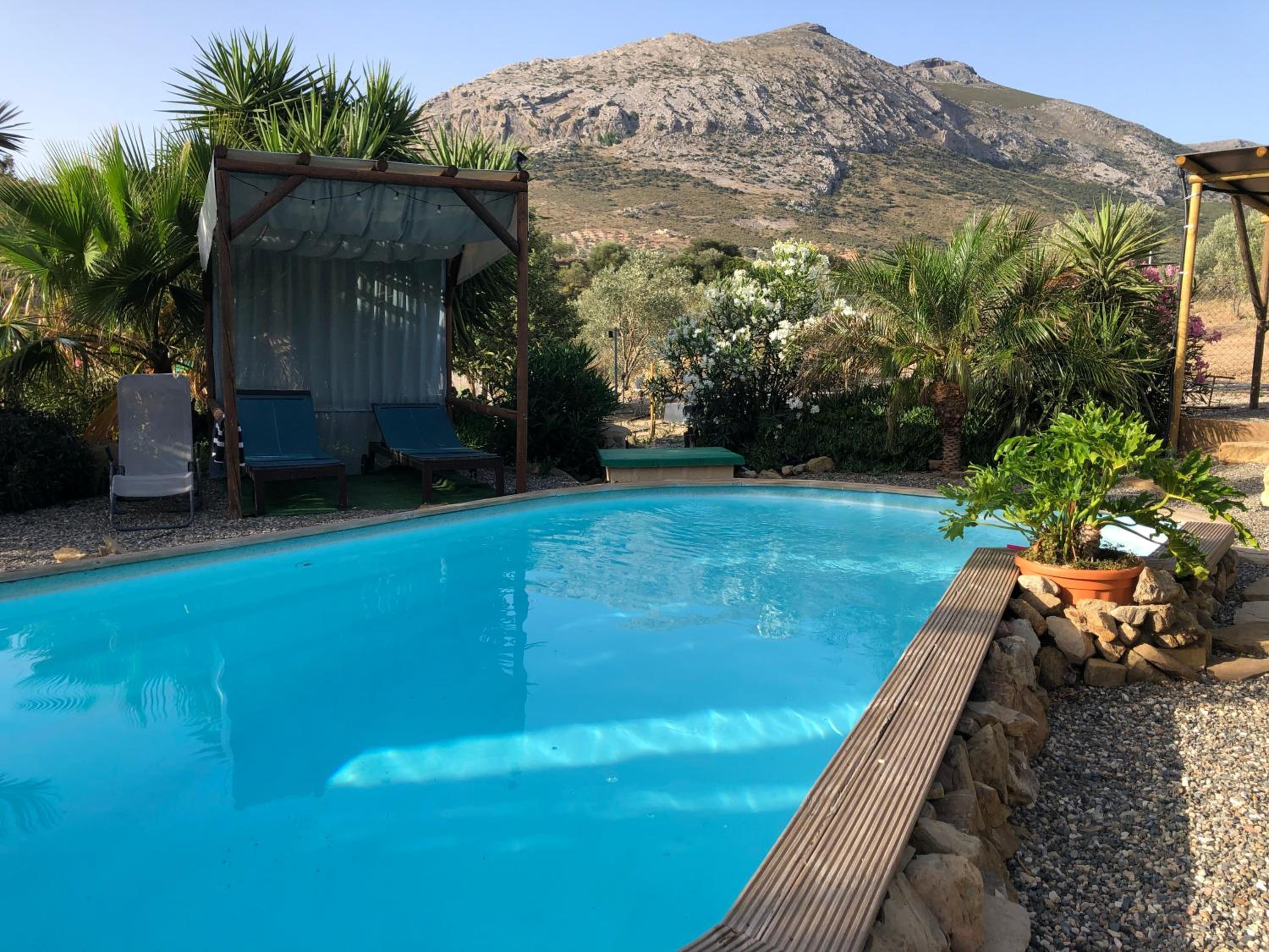 Luxury Safari Lodge - Photo 17