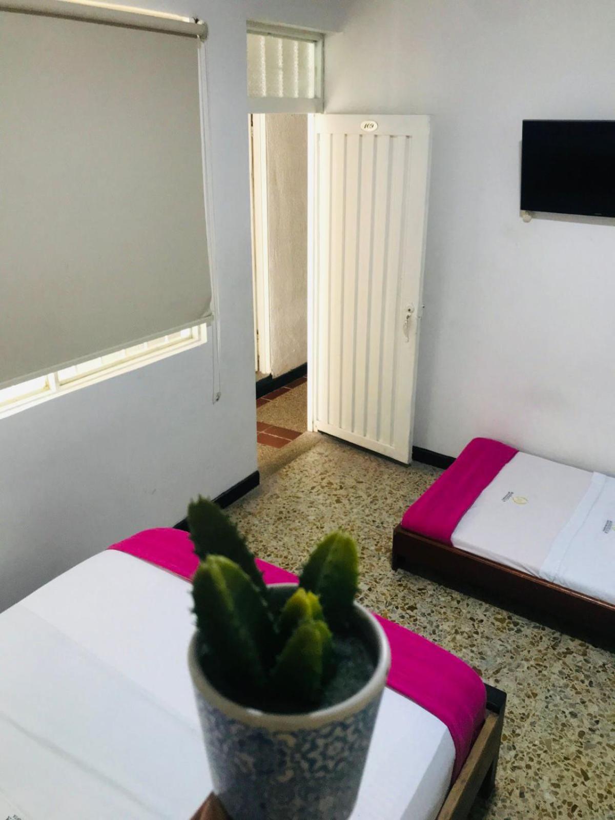 Triple Room photo 3