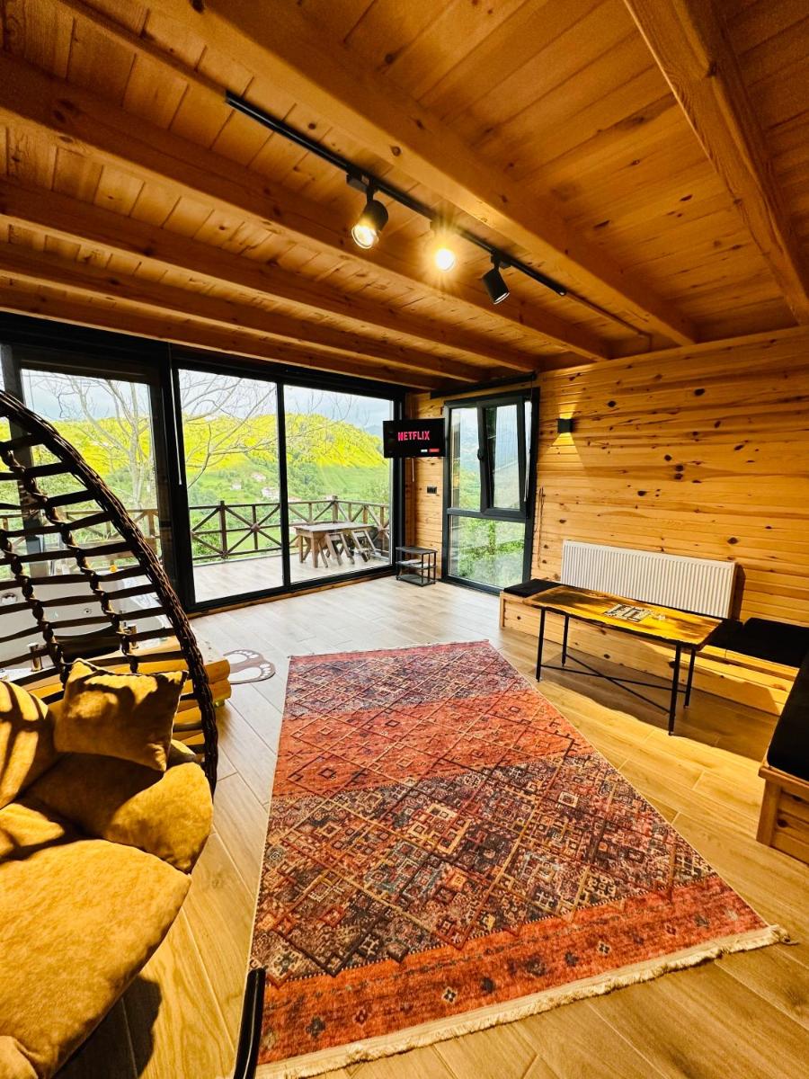 Double Room with Mountain View photo 2