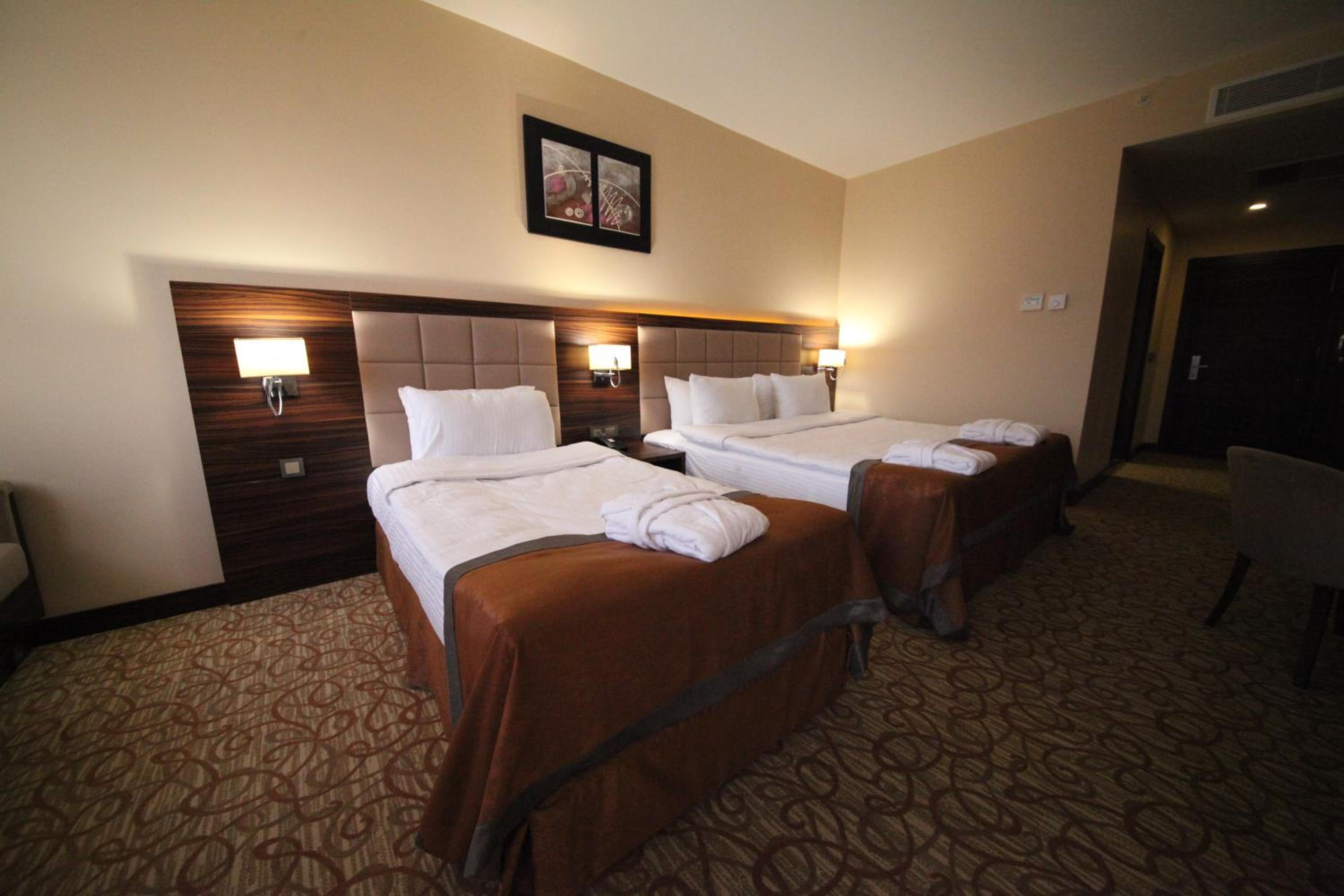 Deluxe Double or Twin Room photo 1