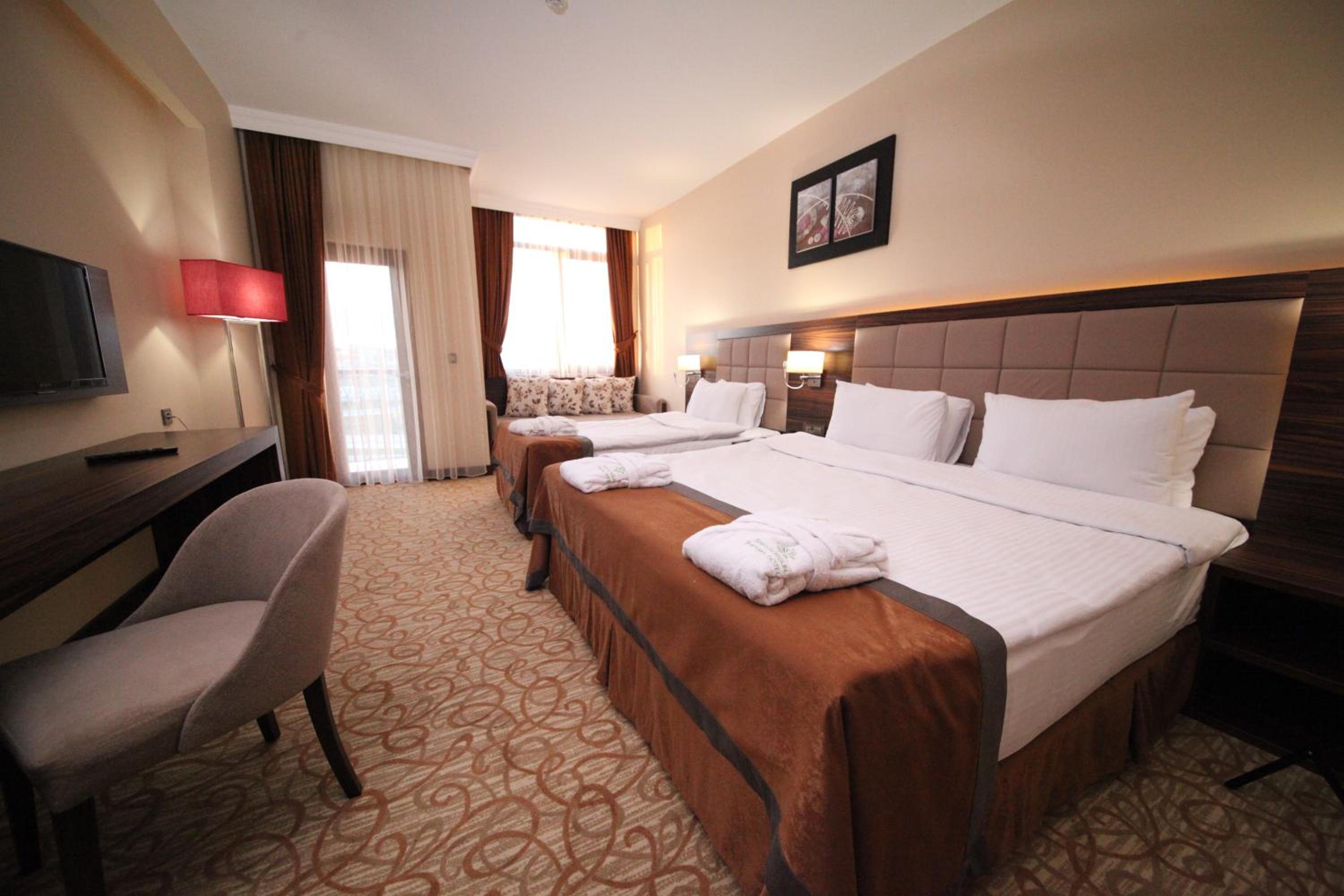 Deluxe Double or Twin Room photo 2