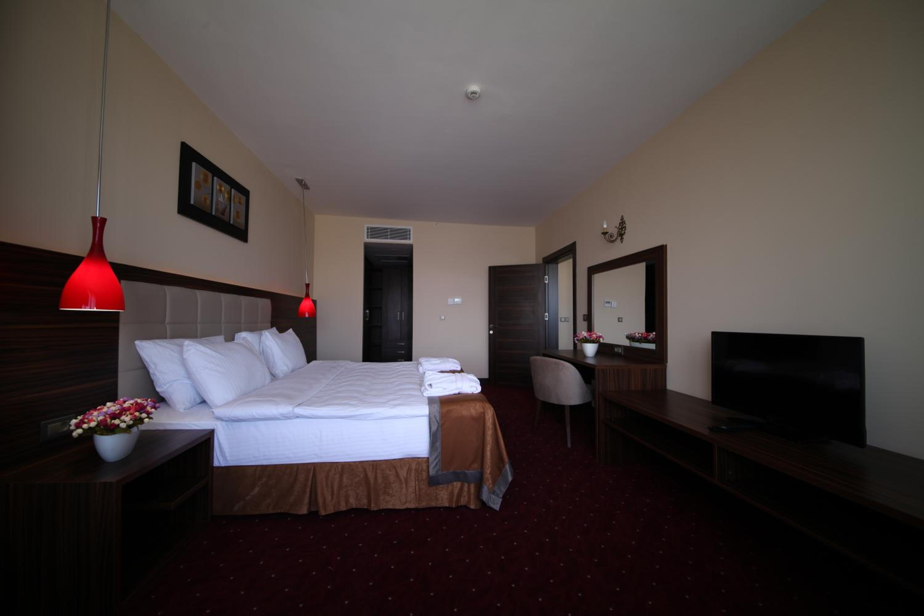 Deluxe Suite with Spa Bath photo 2