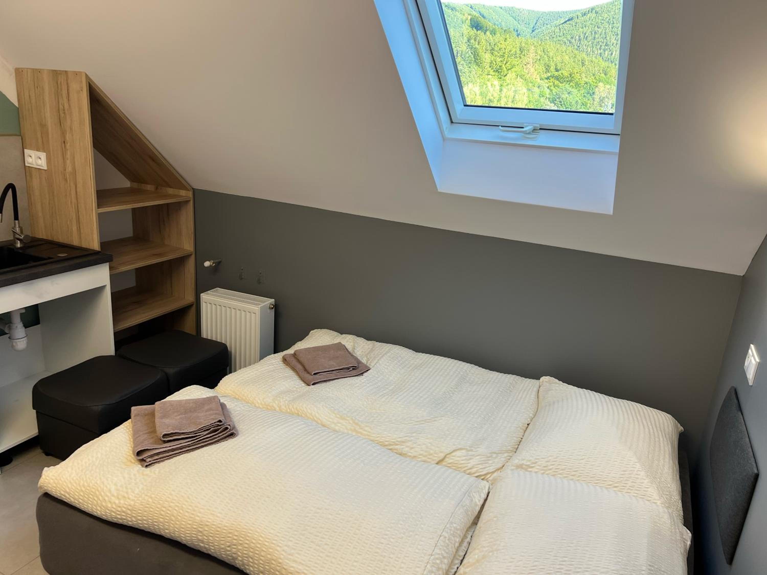 One-Bedroom Apartment with City View
