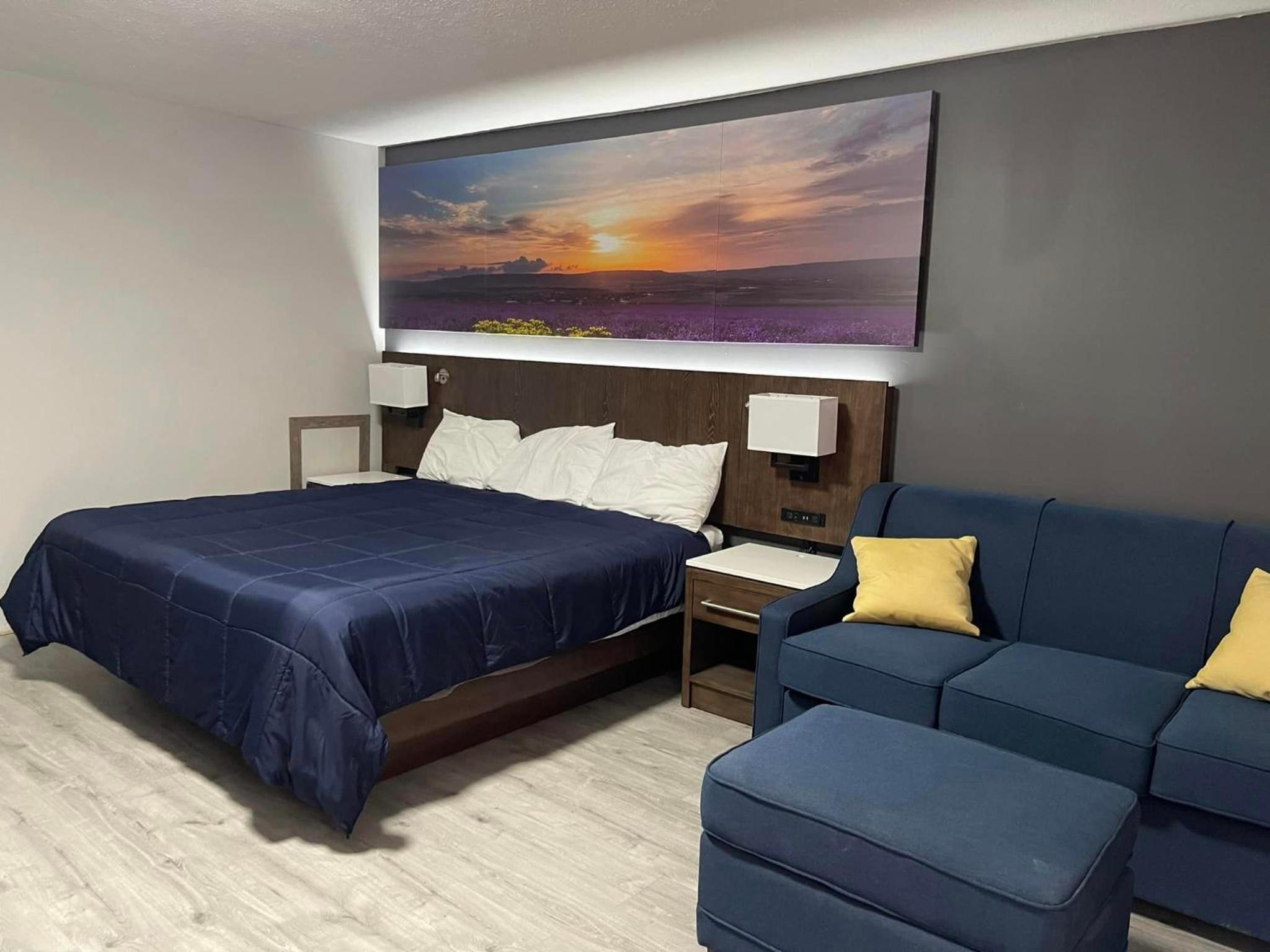 Deluxe King Suite - Photo 4