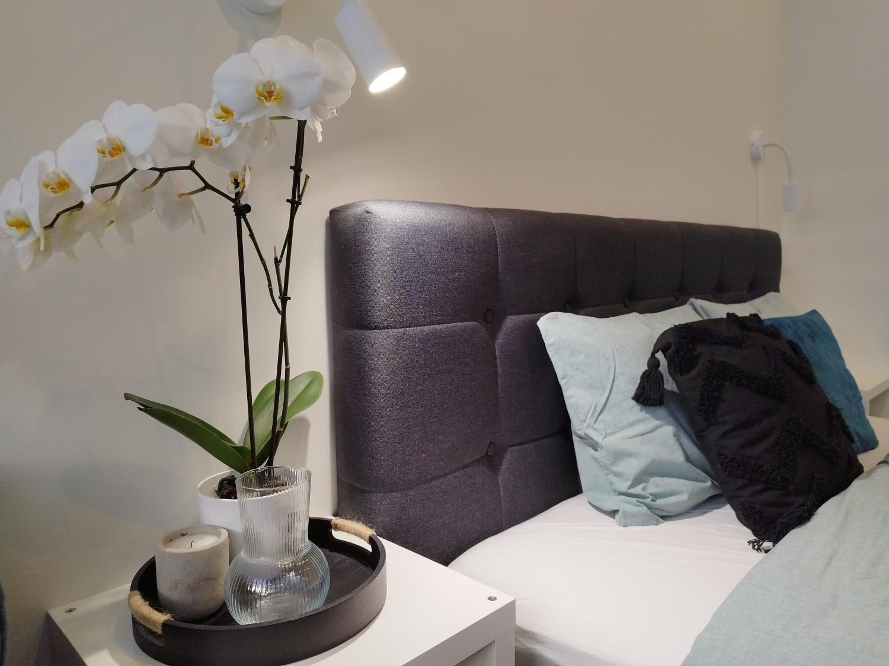 One-Bedroom Apartment - Photo 13