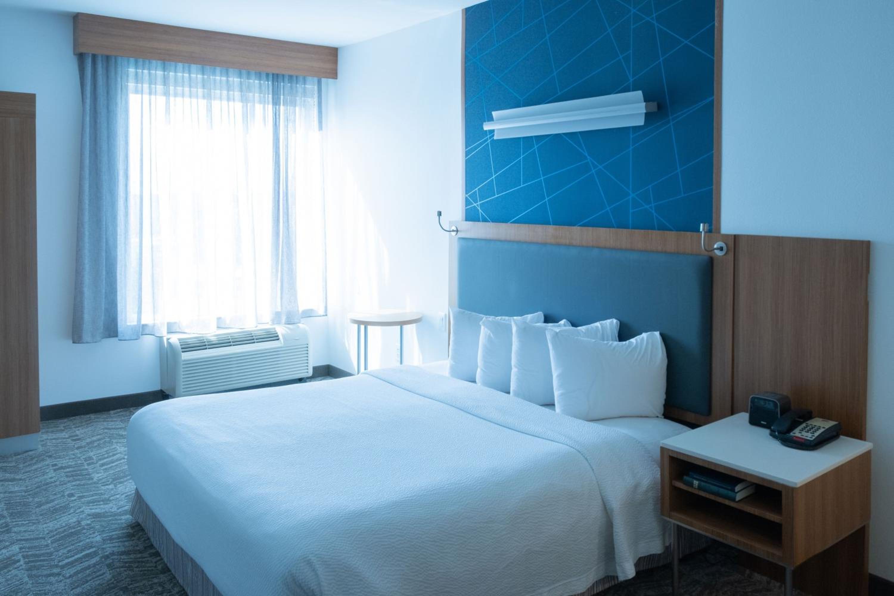King Suite with Roll-In Shower and Trundle Sofa - Mobility Access/Hearing Accessible
