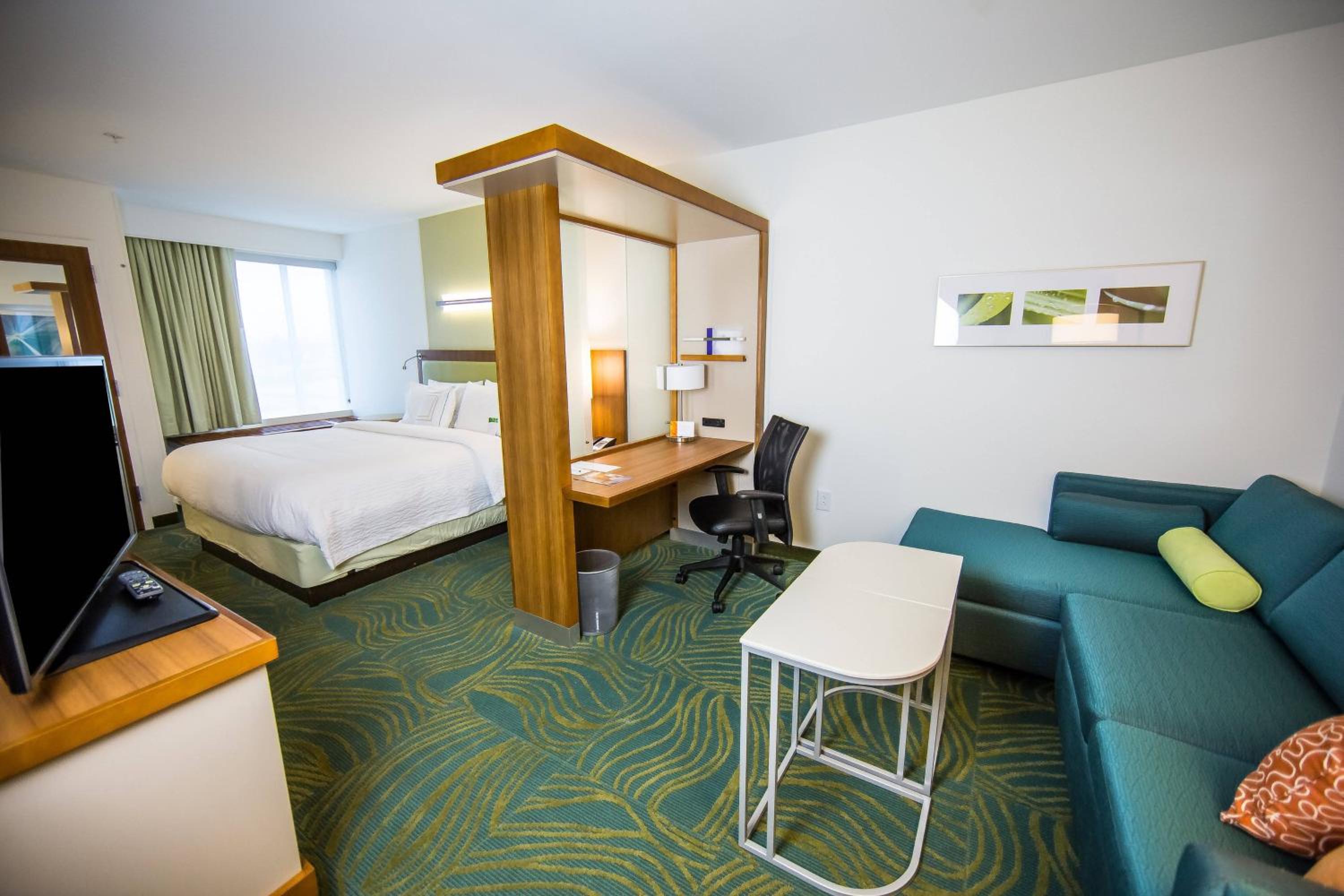 King Studio with Sofa Bed and Roll-in Shower - Mobility Accessible photo 2