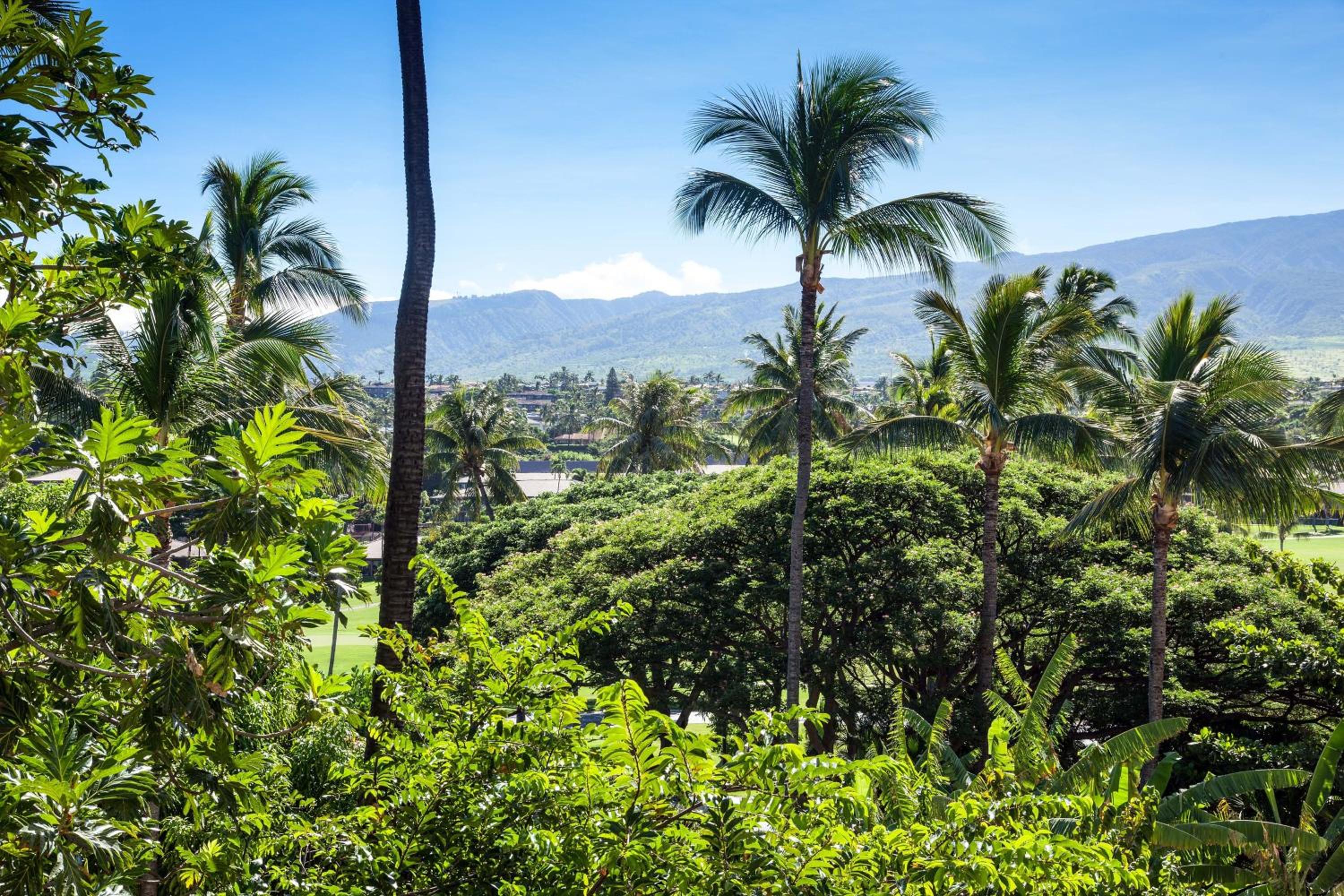 Resort View Dbl/Dbl