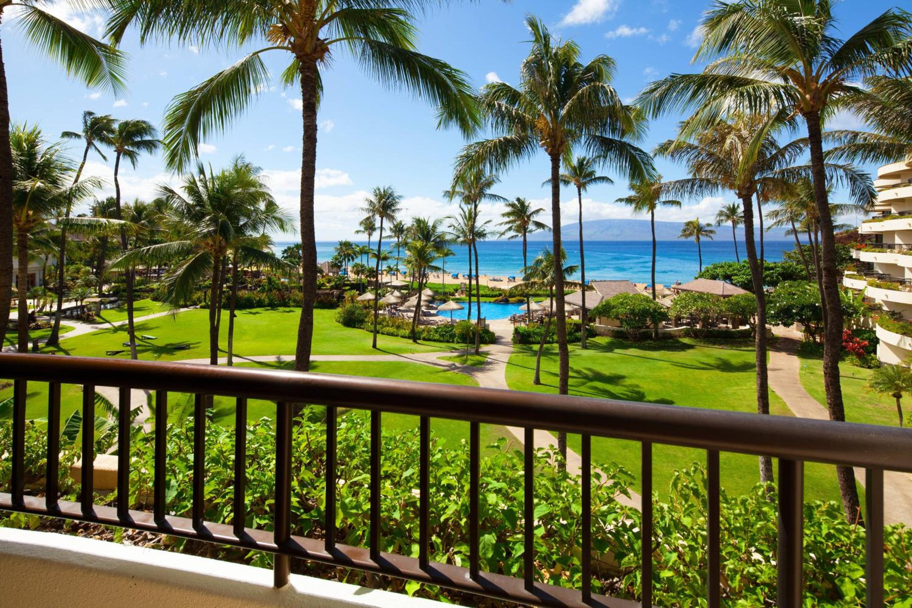Ocean View King