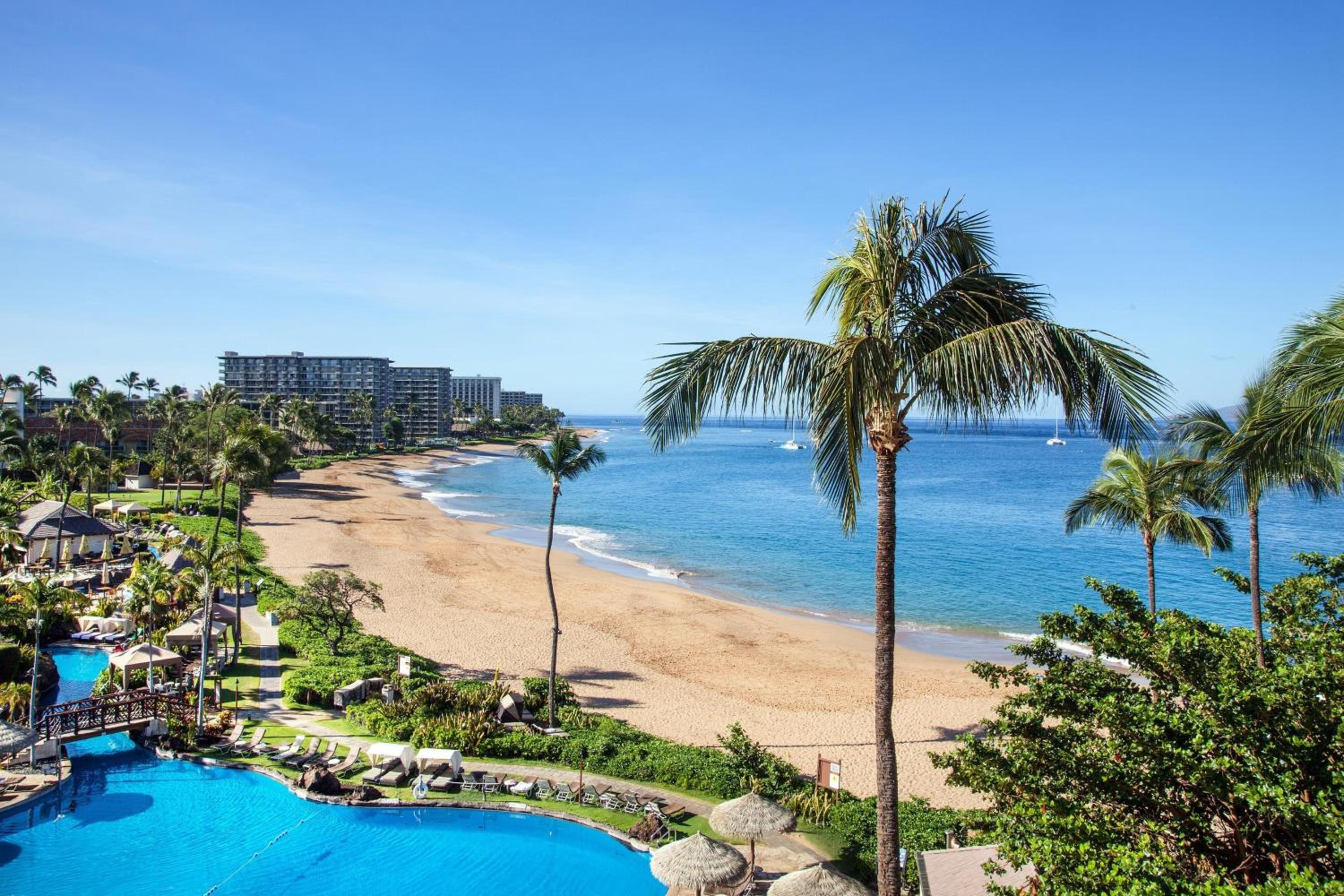Ocean Front King
