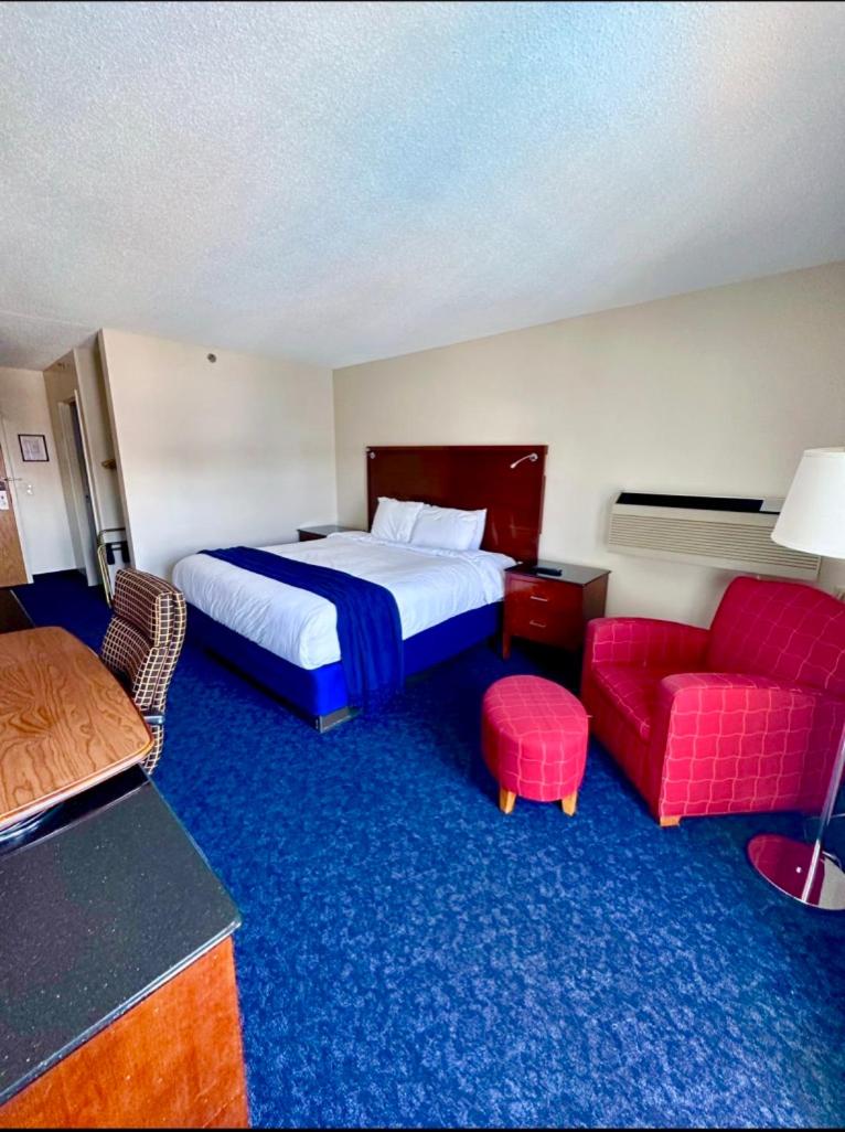 King Room photo 2