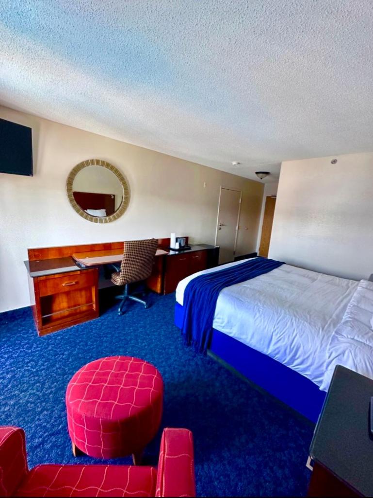 King Room photo 1
