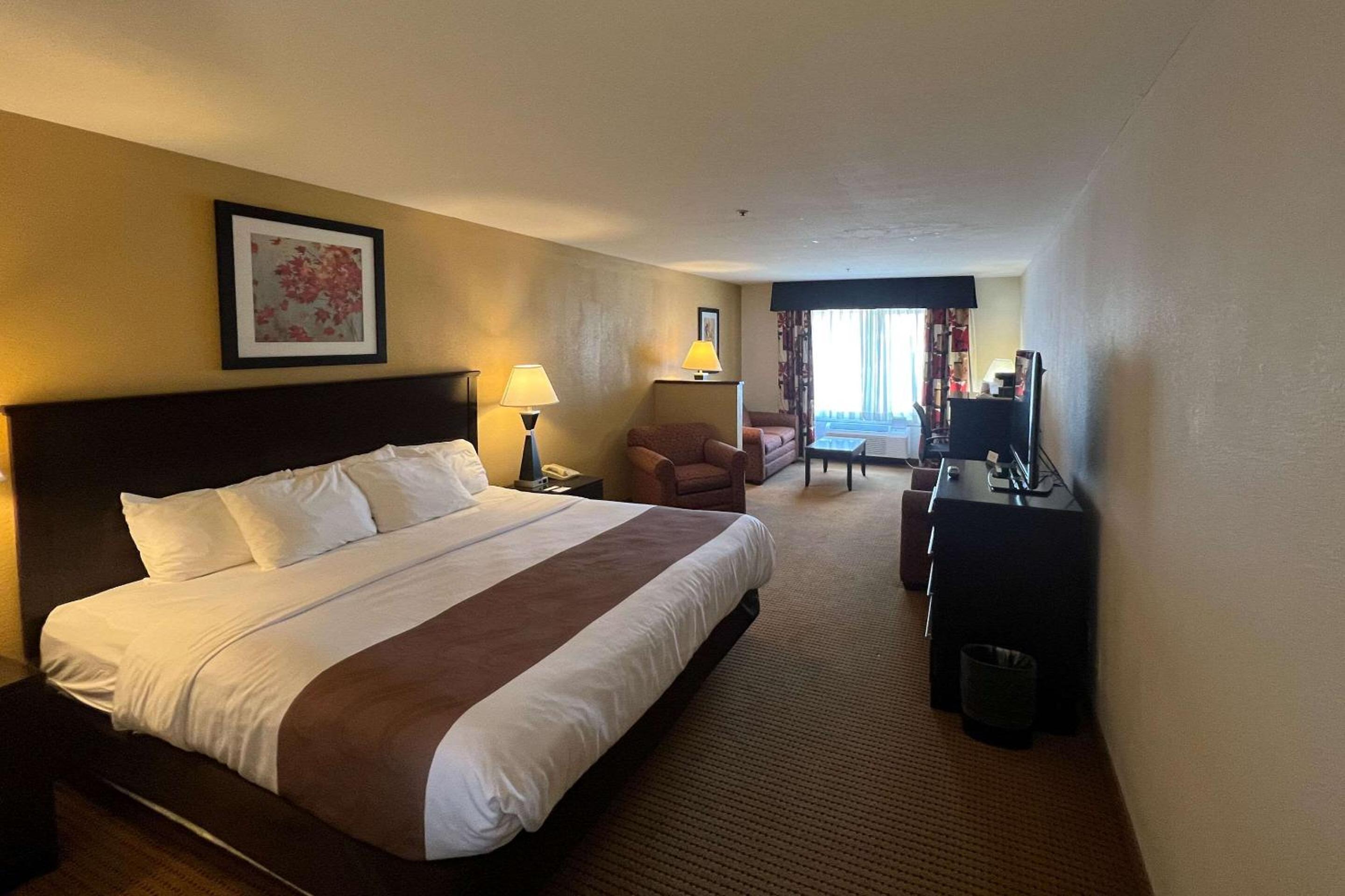King Suite - Non-Smoking - Photo 8