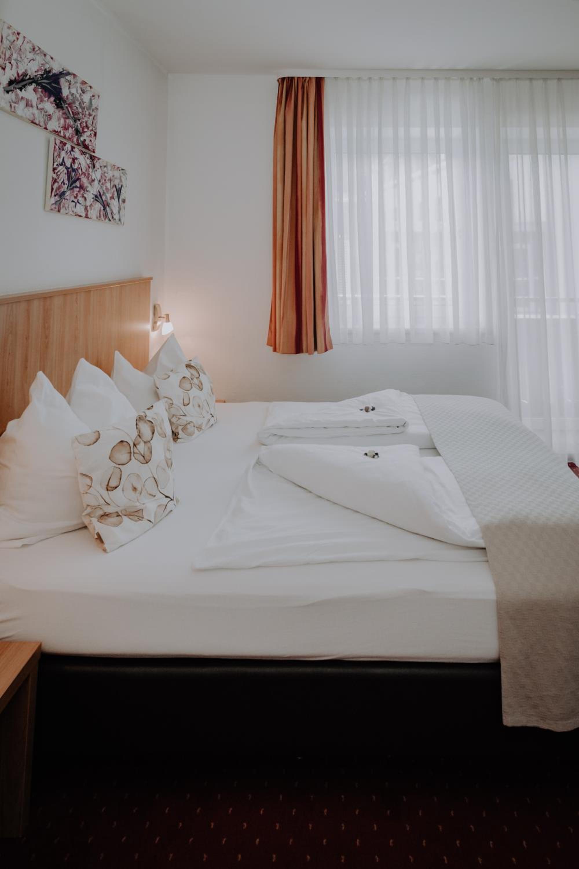 Double or Twin Room with Balcony and Mountain View photo 1