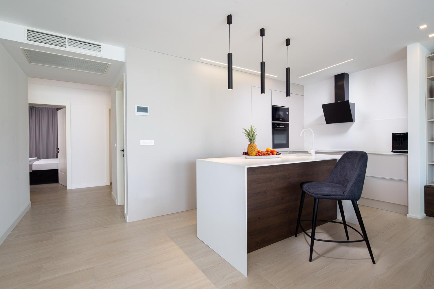 Penthouse Apartment photo 2