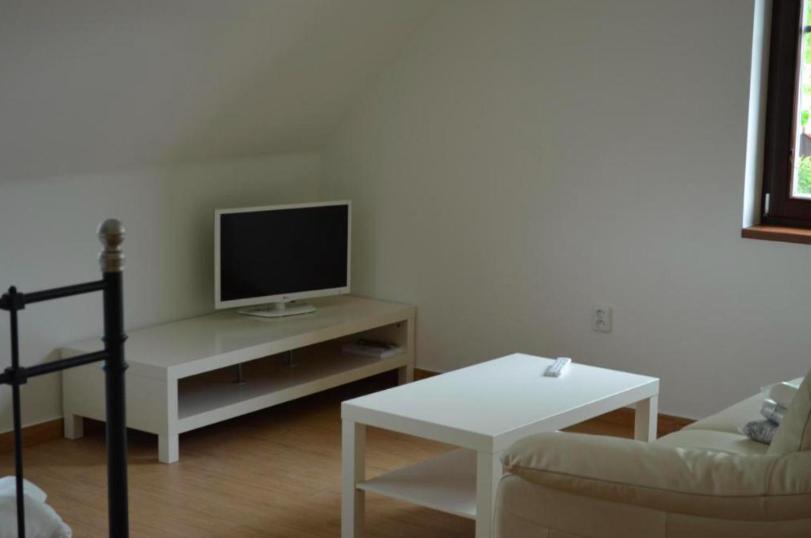 Apartment - Photo 4