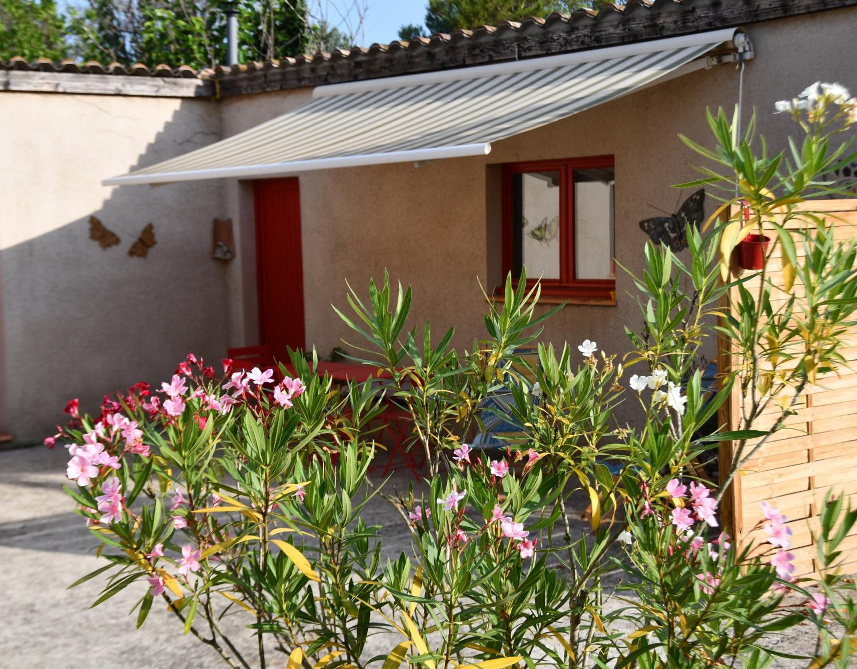 Studio with Terrace photo 3