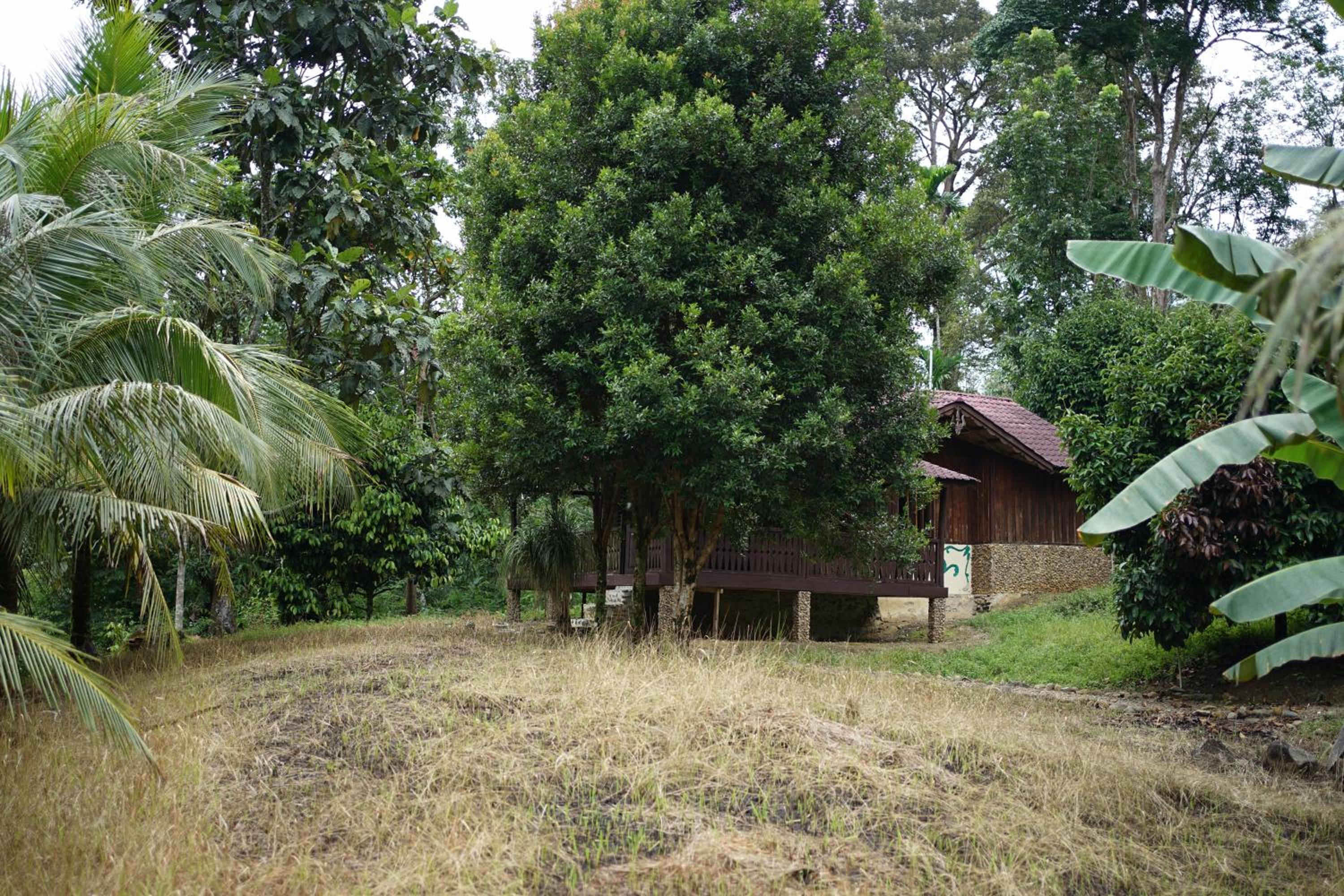 Villa With Garden View photo 3