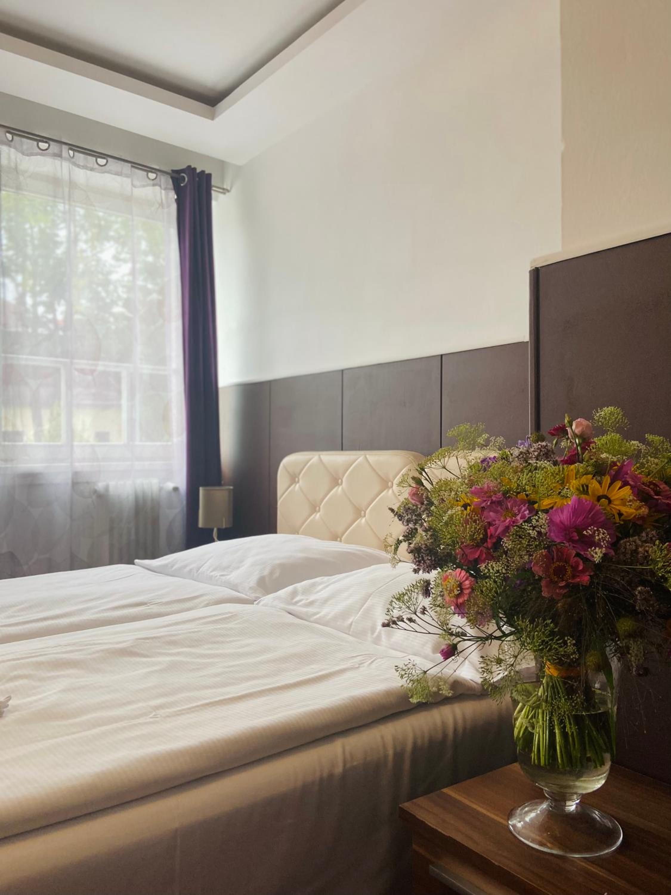 Superior Double or Twin Room photo 3